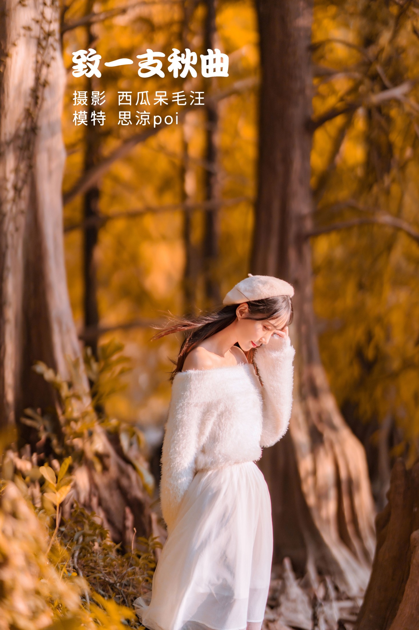 致一支秋曲