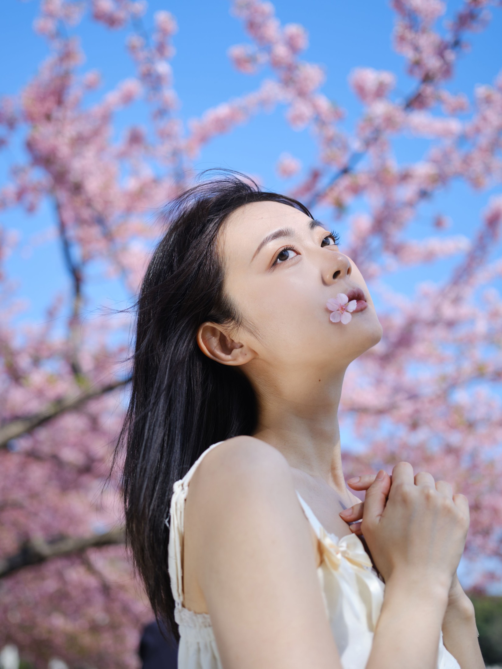 飞鸟咕咕- – 《白裙》[24P]