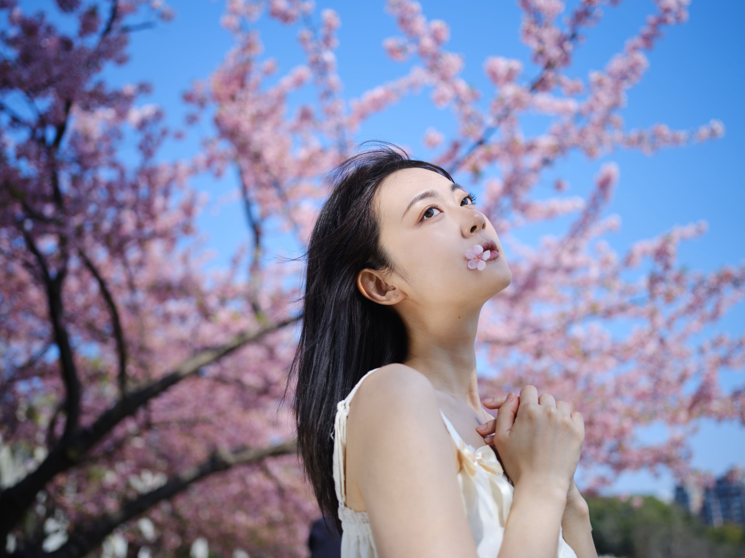 飞鸟咕咕- – 《白裙》[24P]