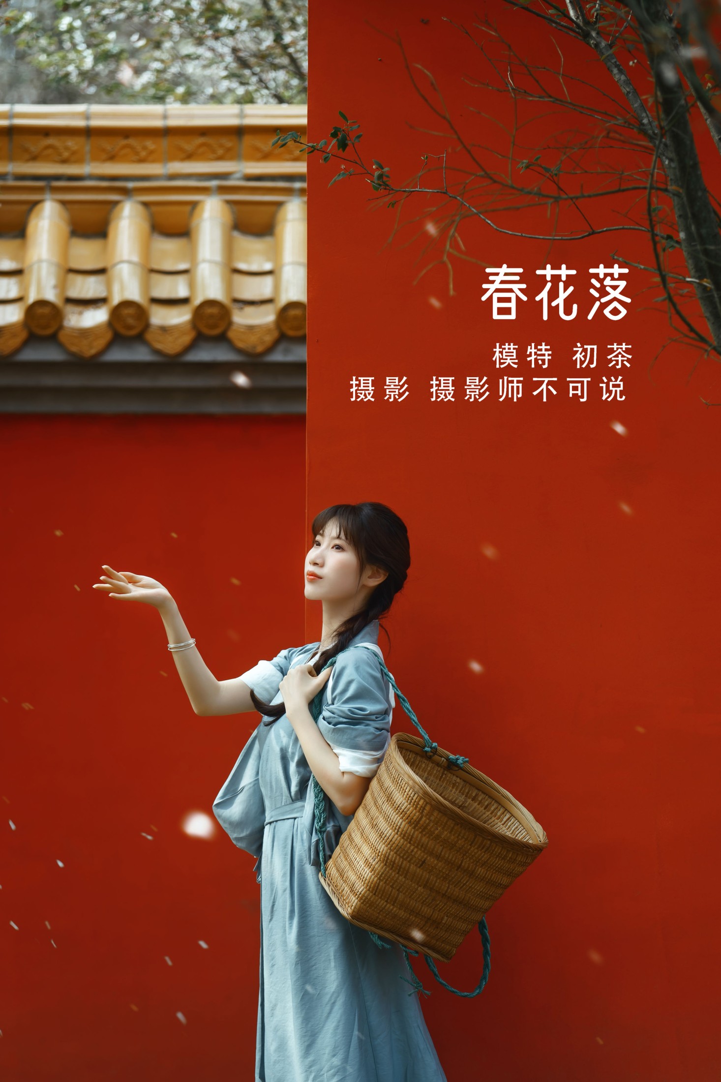 春花落