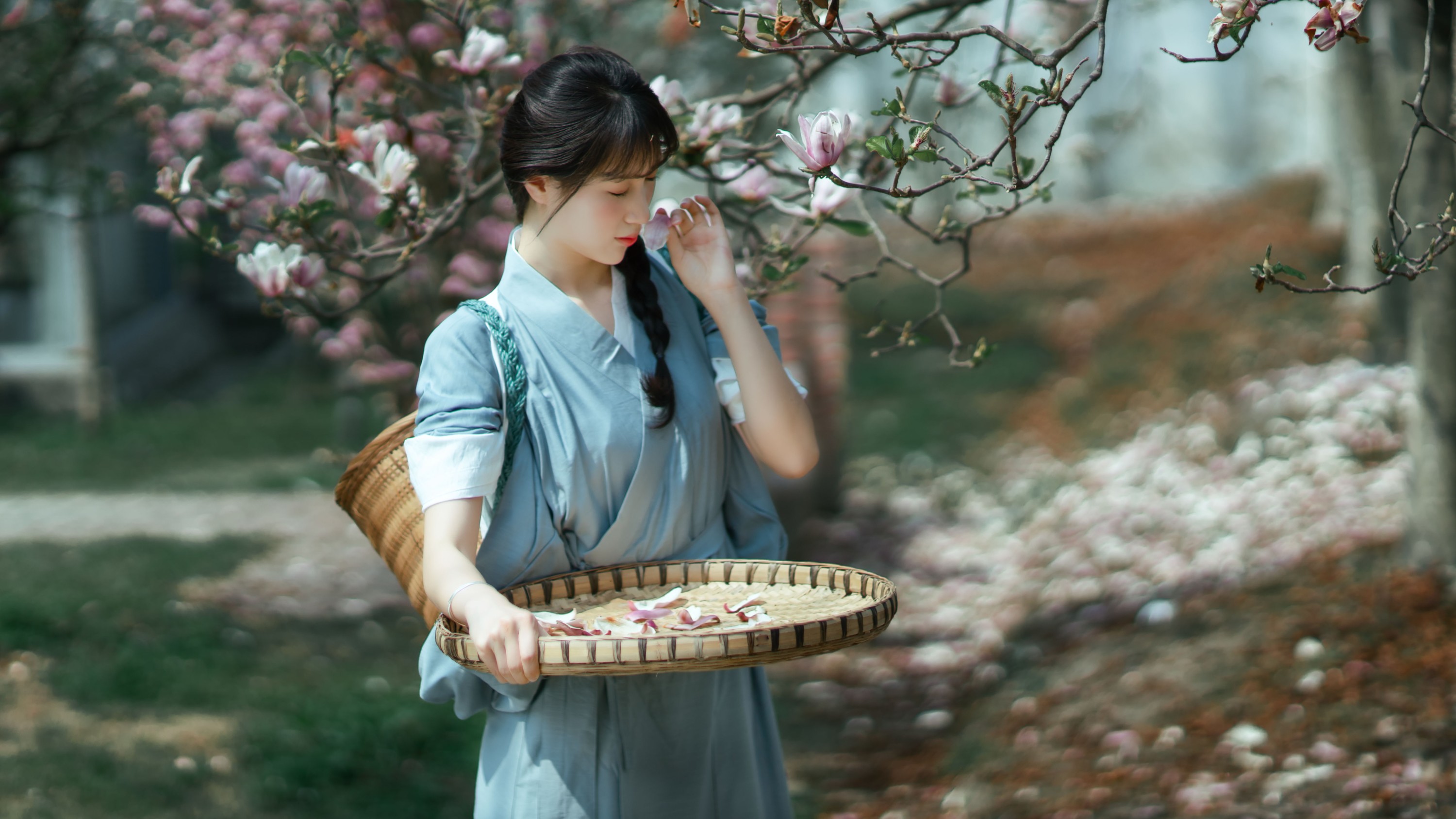 初茶 – 《春花落》[35P]