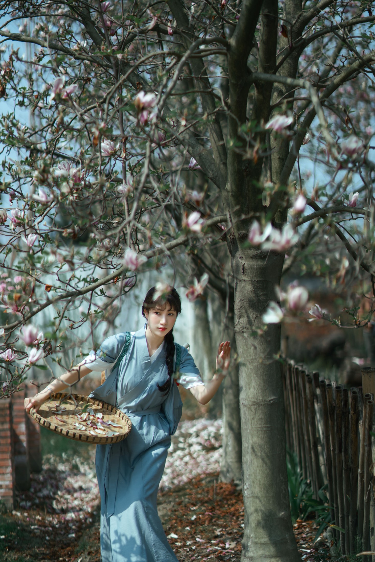 初茶 – 《春花落》[35P]
