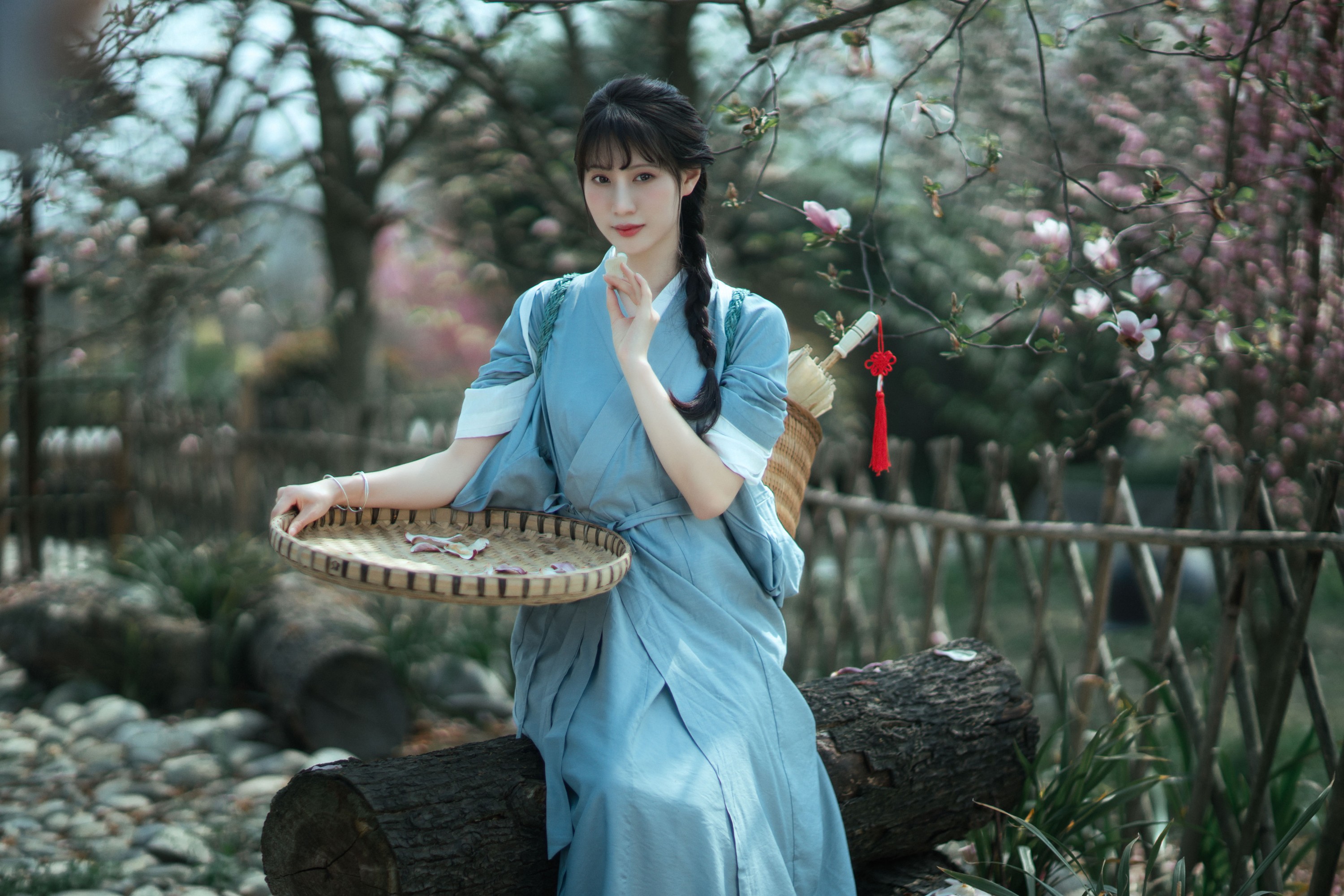 初茶 – 《春花落》[35P]