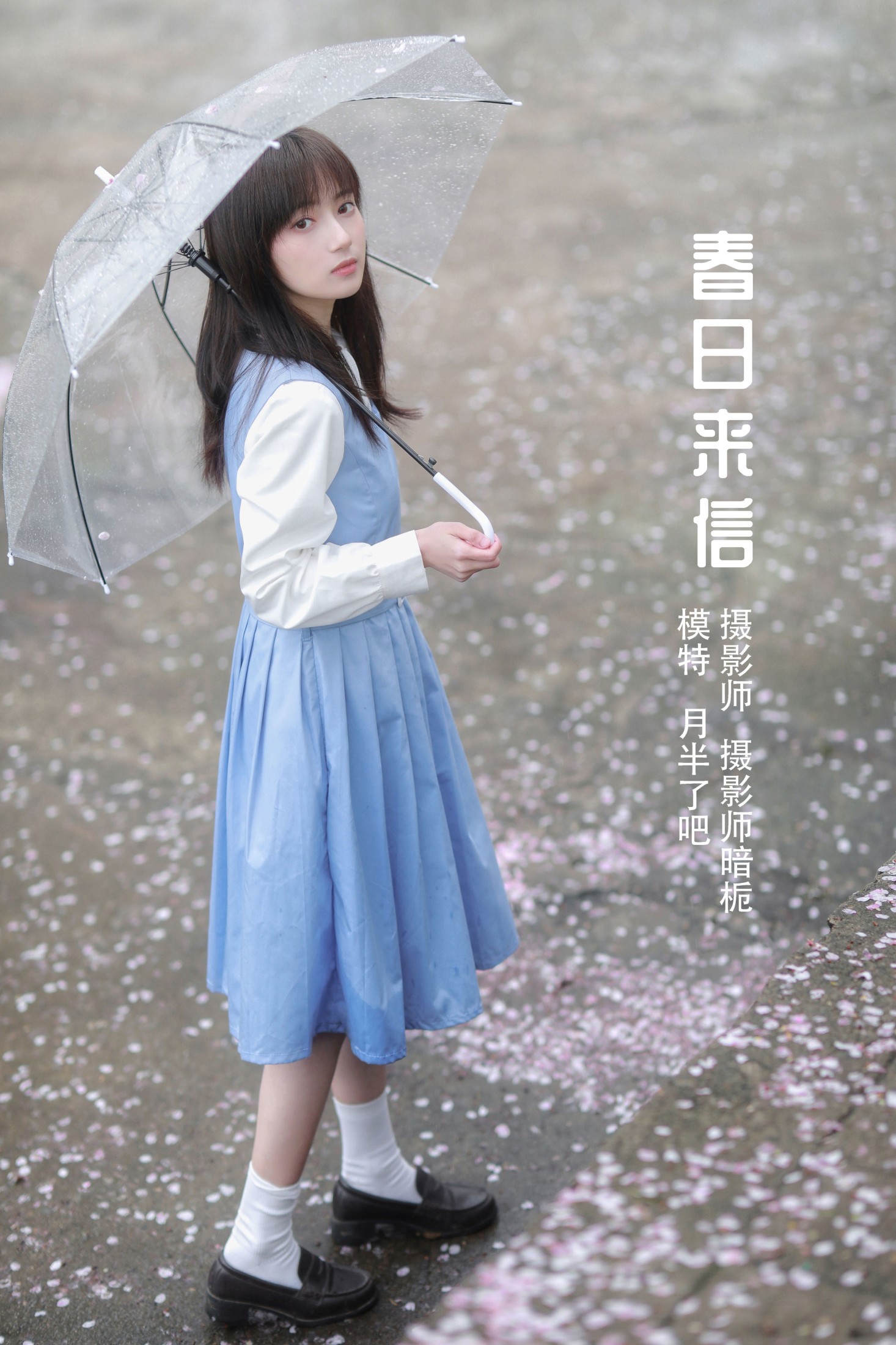 春日来信