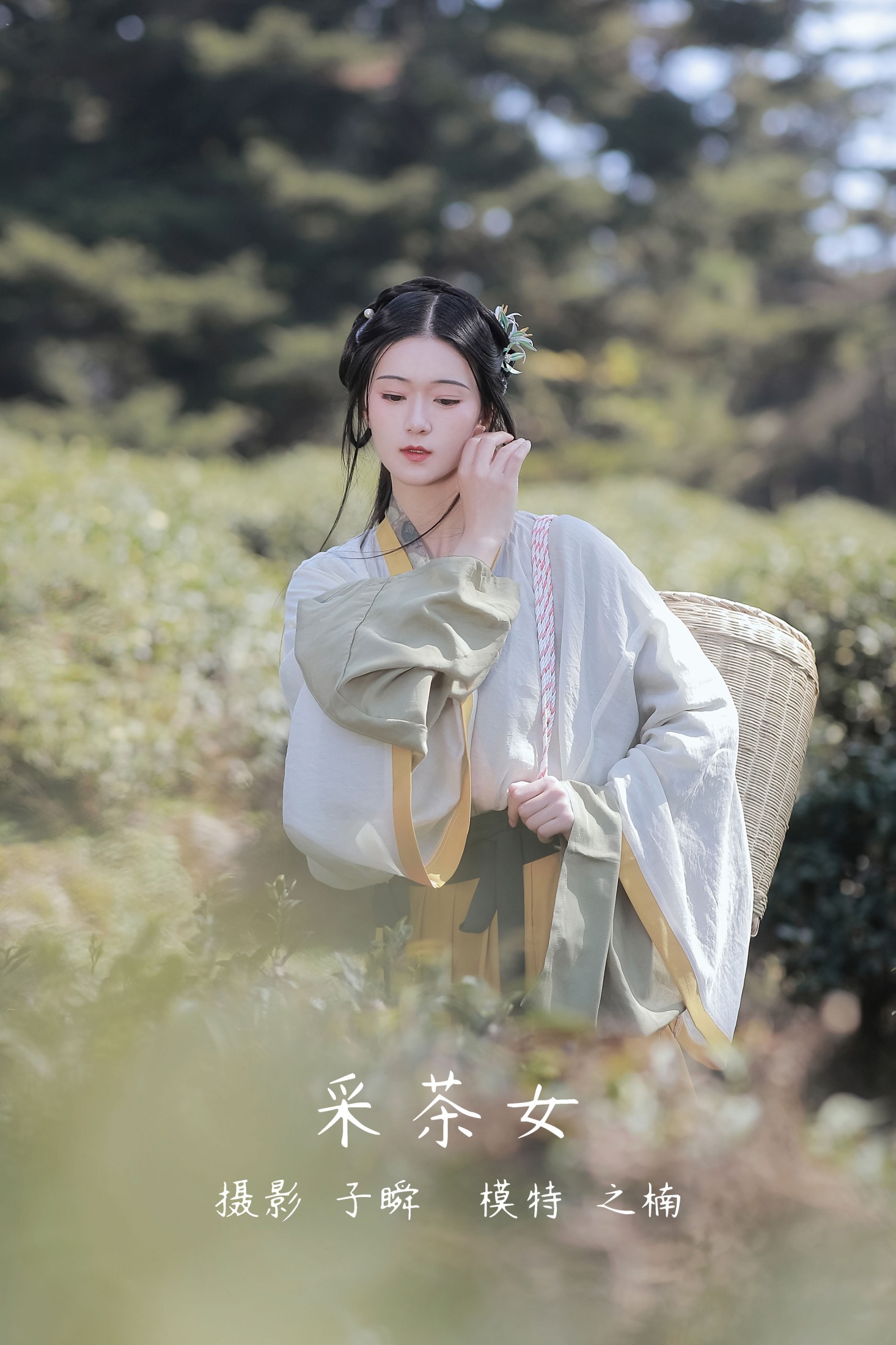 采茶女
