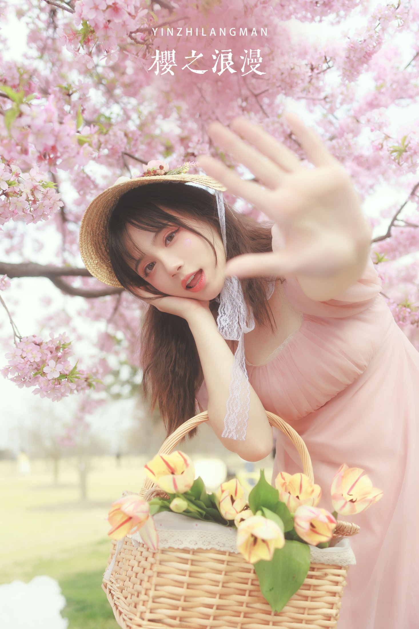 樱之浪漫