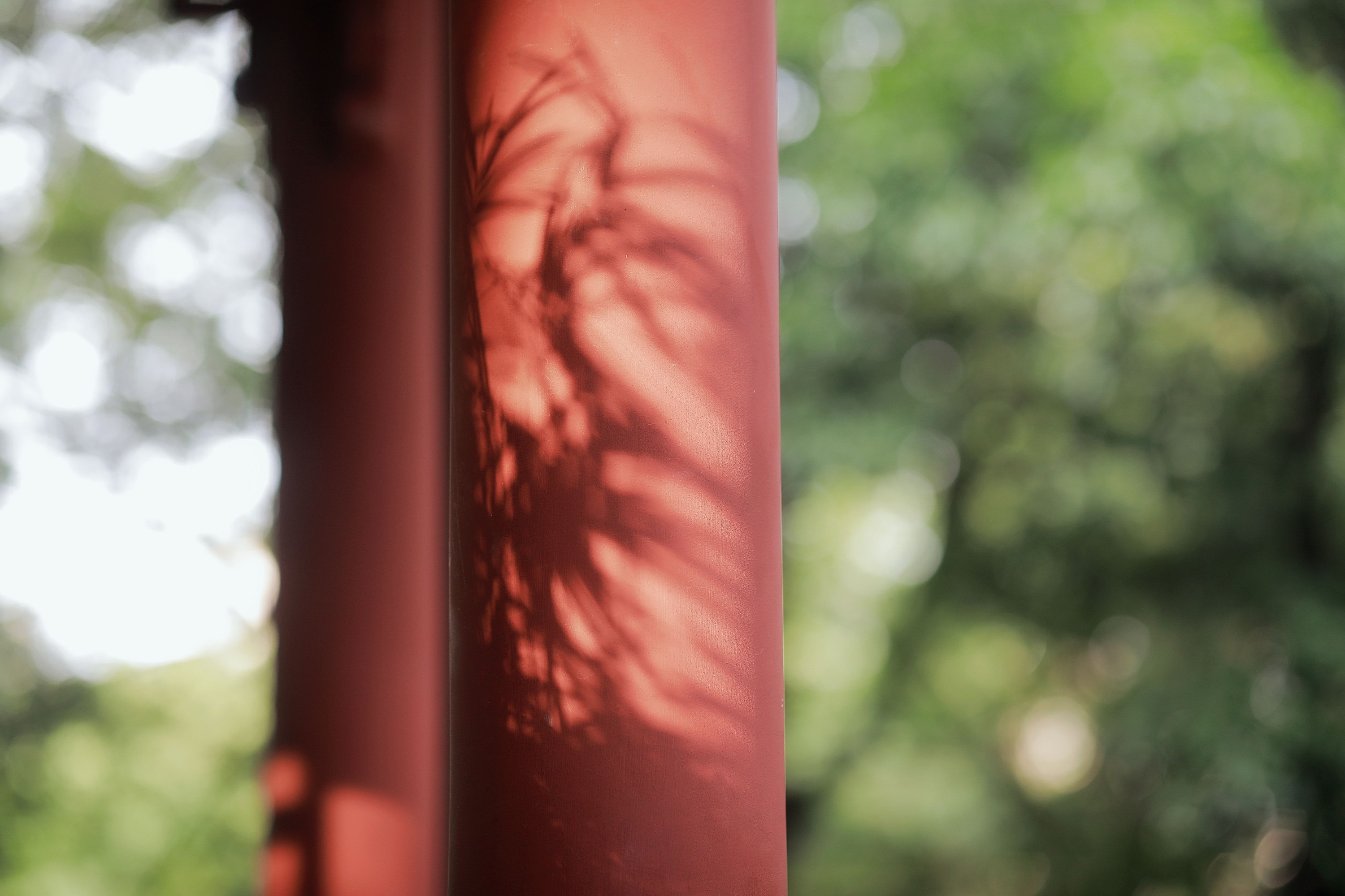 嘉仪 – 《山居煎茶》[22P]