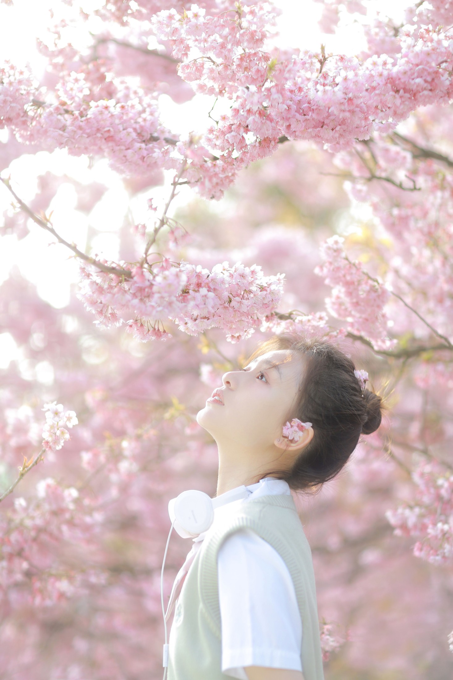 瑞秋的快乐人生 – 《樱花下的春日心动》[23P]