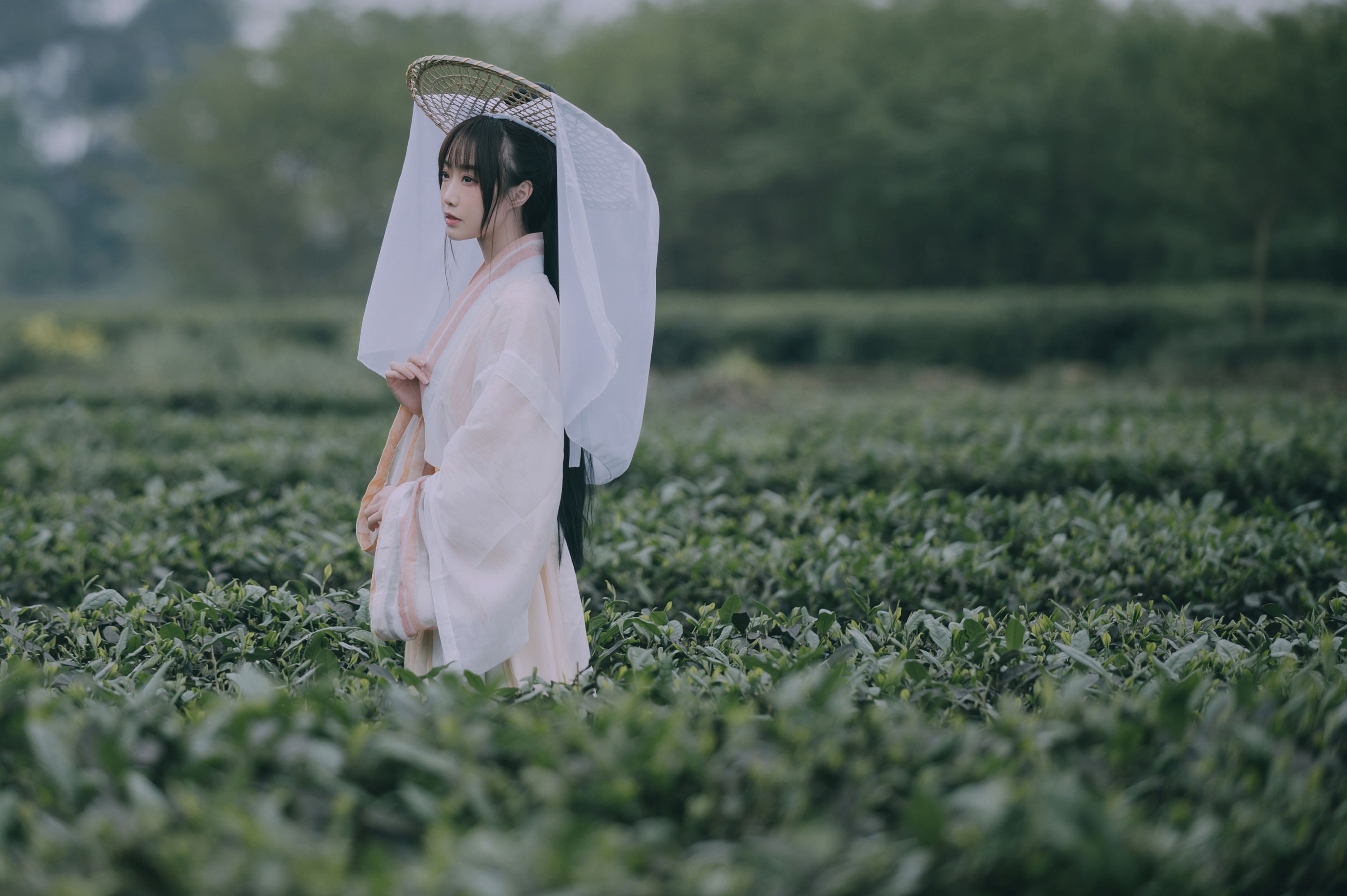 蹭饭 – 《采茶东篱下》[20P]
