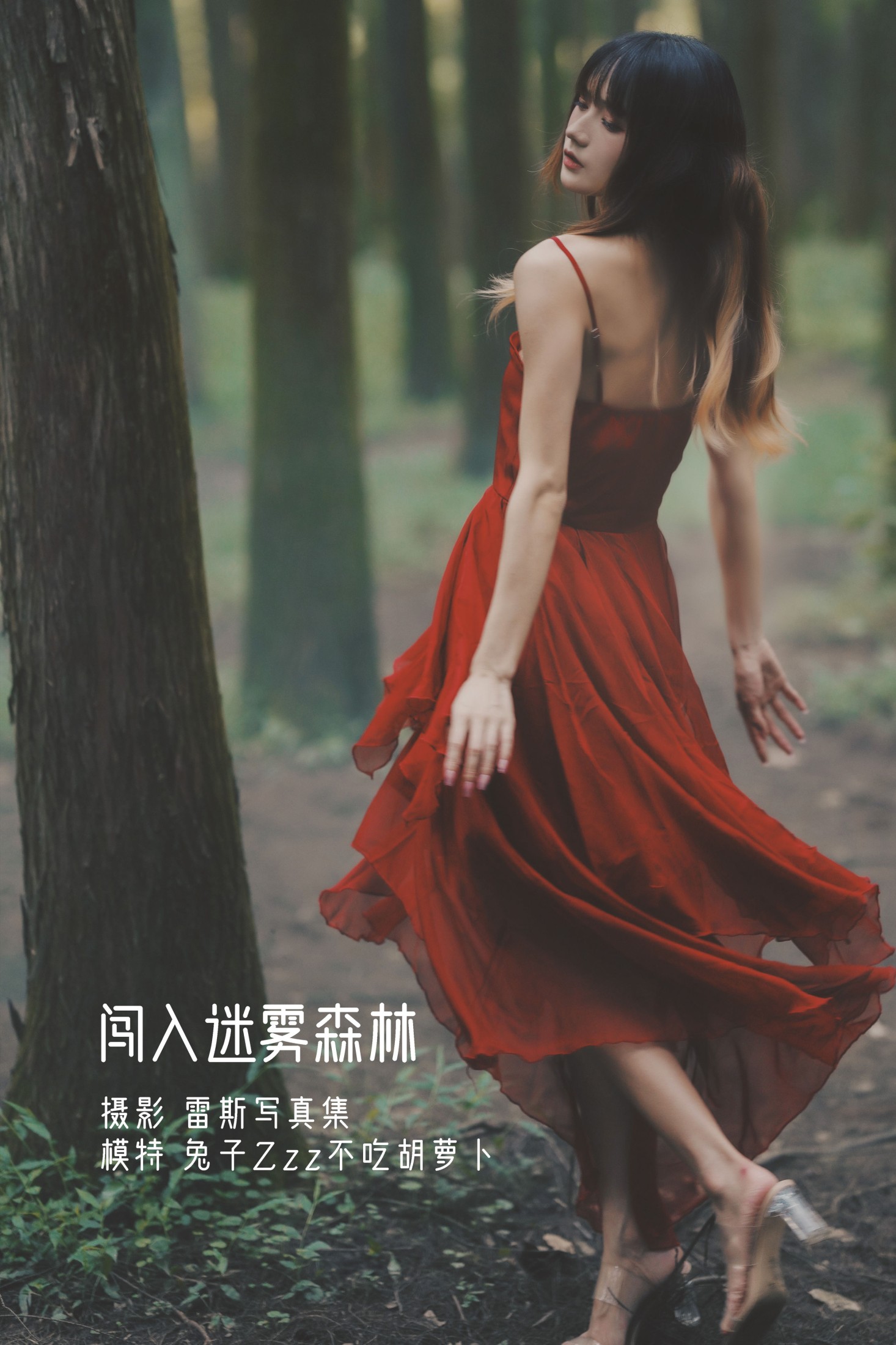 闯入迷雾森林