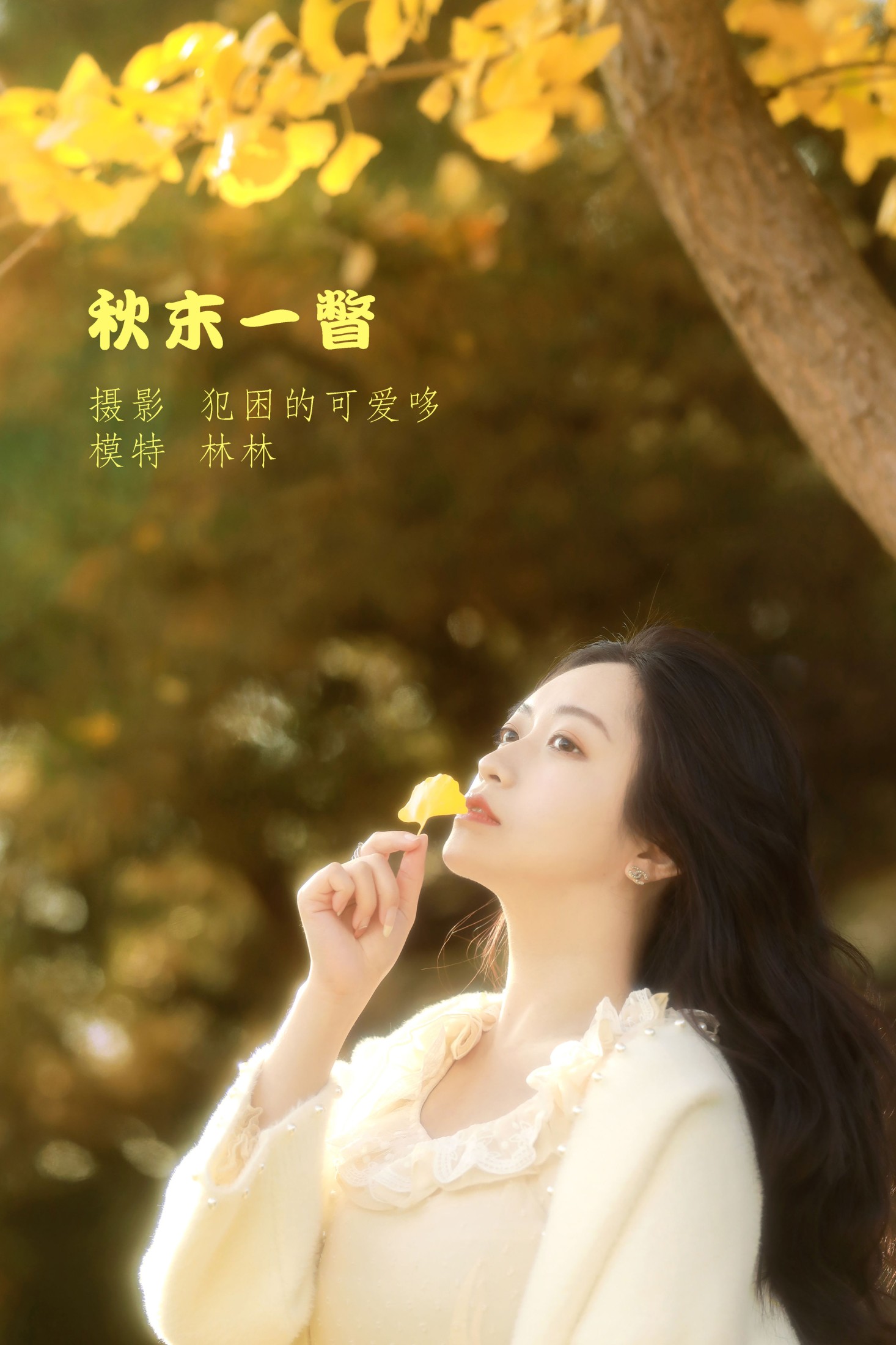 秋末一瞥