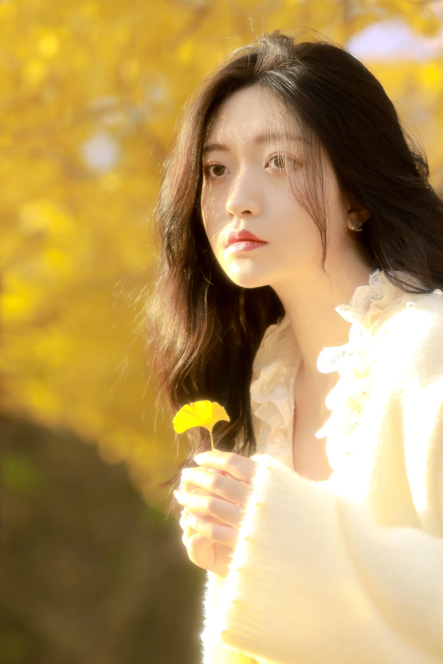 林林 – 《秋末一瞥》[20P]
