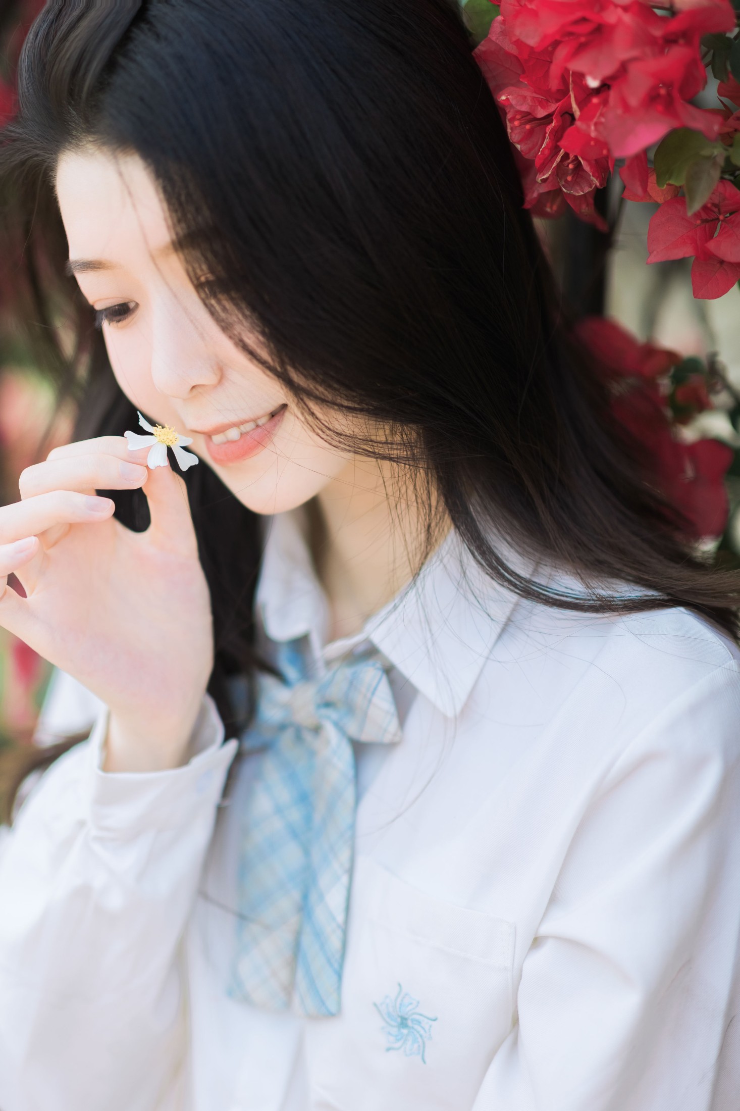 航子就是航子呀 – 《夏天的风》[27P]