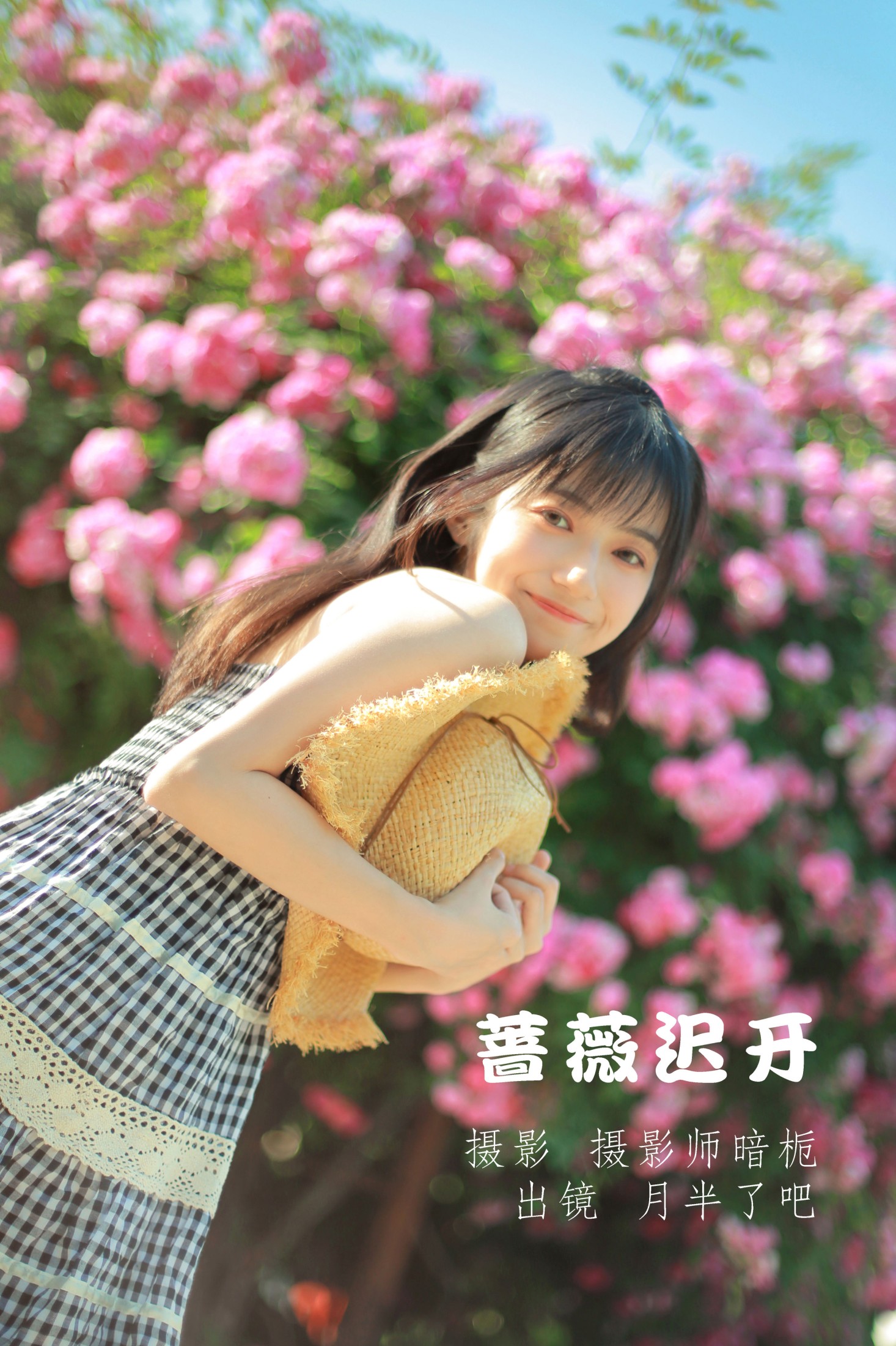 蔷薇迟开