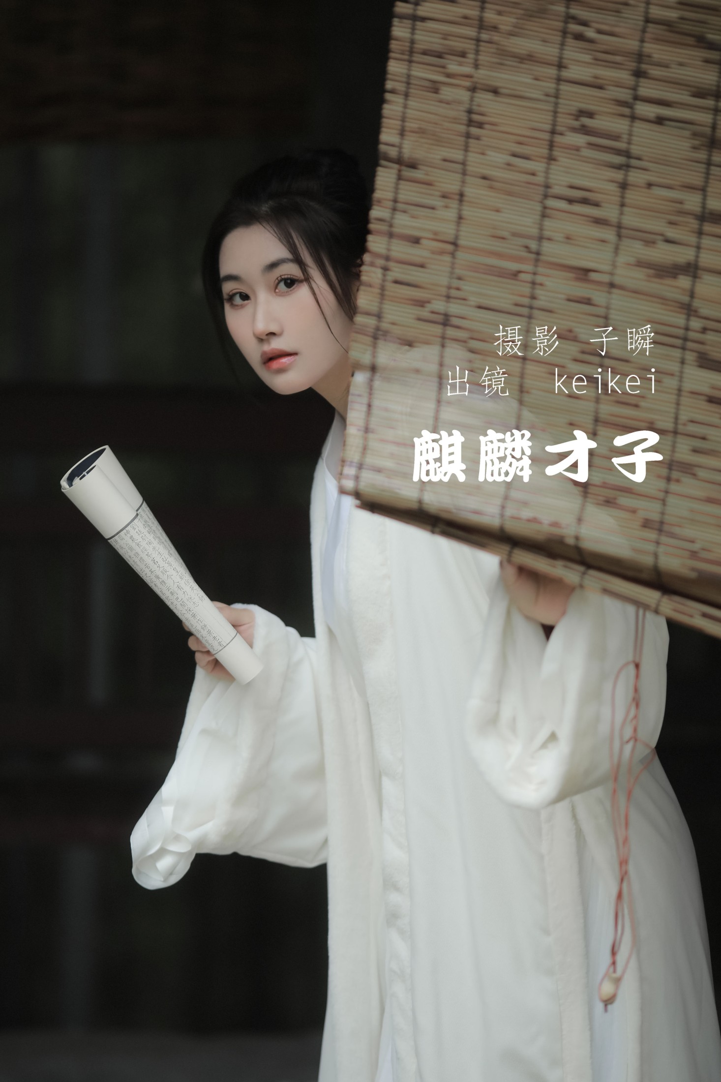 麒麟才子