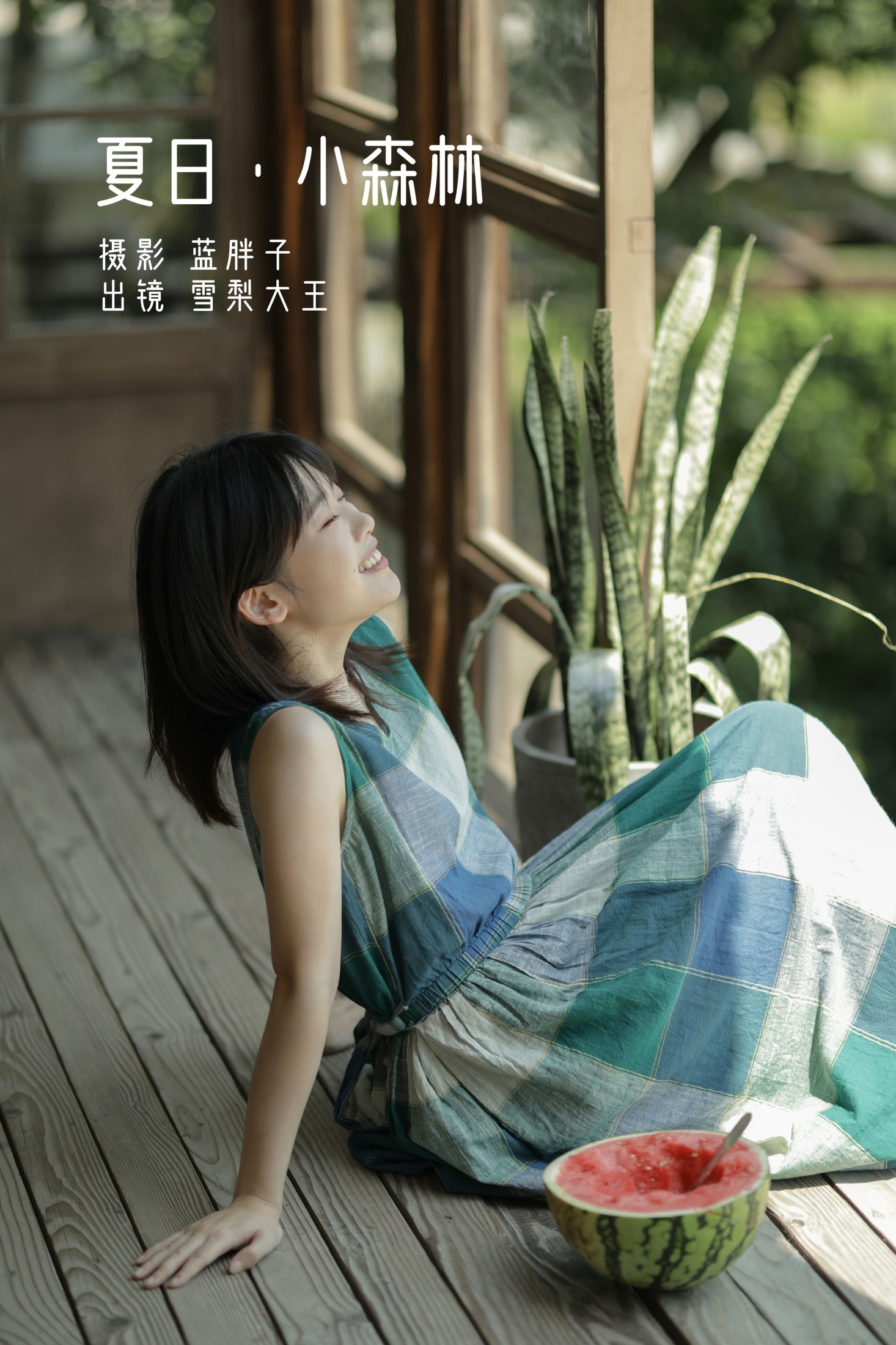 夏日 · 小森林
