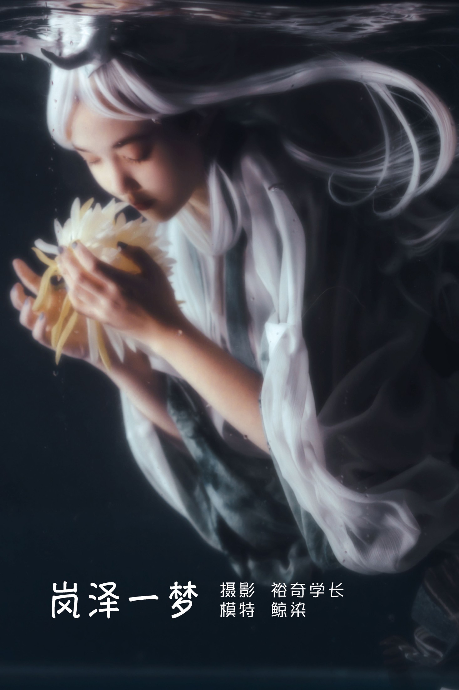 岚泽一梦