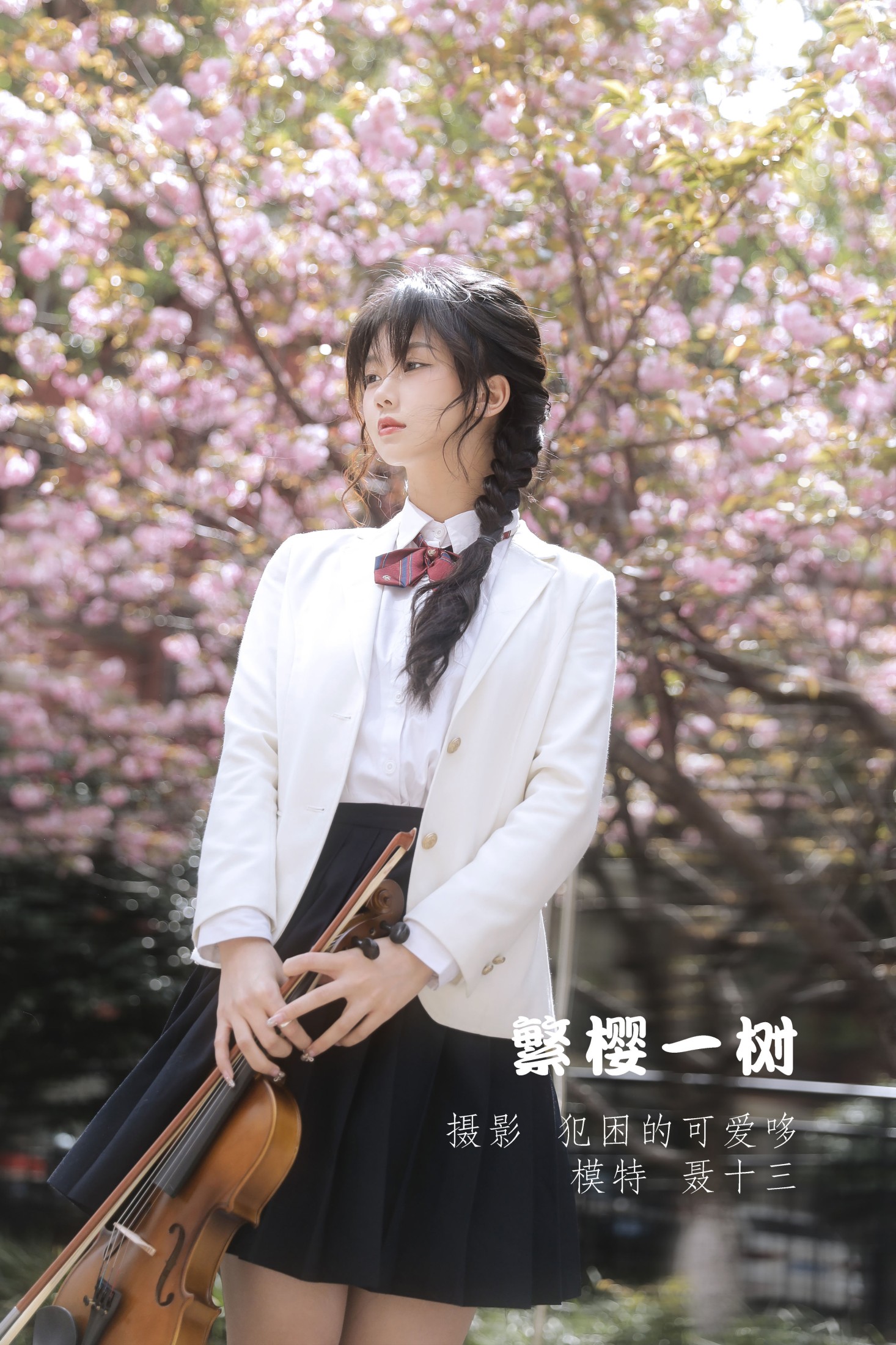 繁樱一树