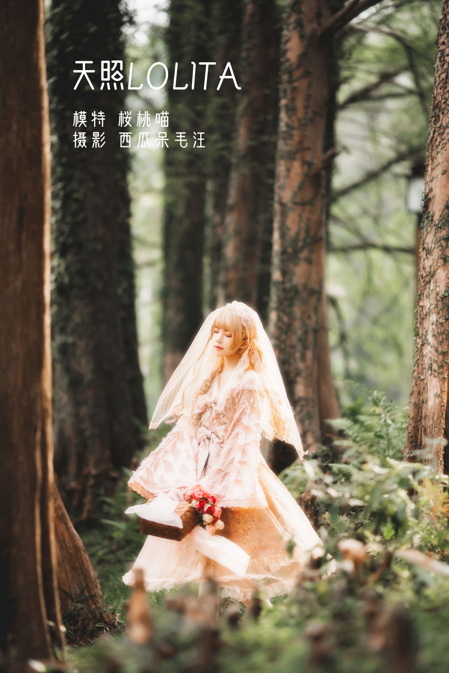 天照LOLITA