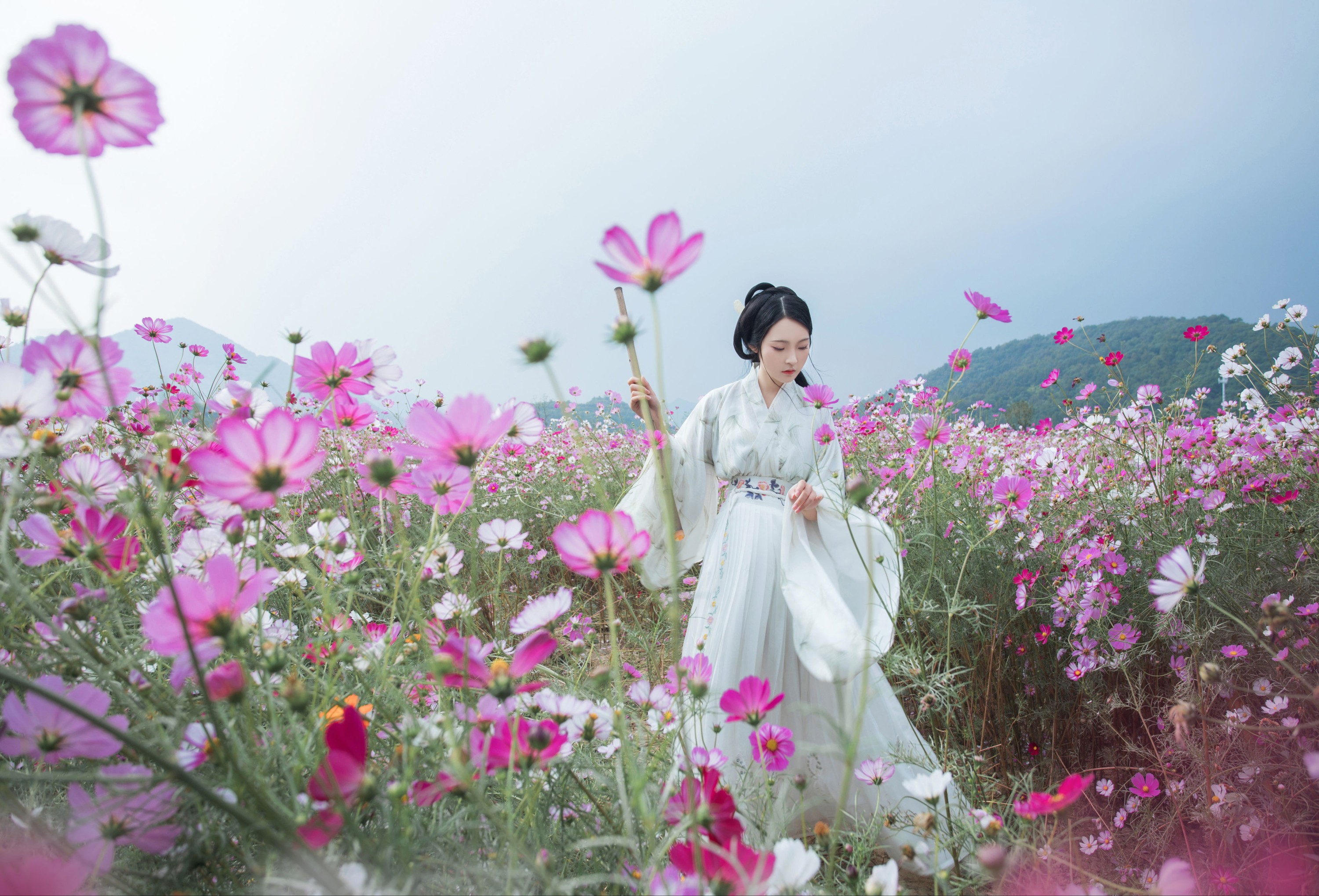 超困的鹿 – 《娑萝》[22P]