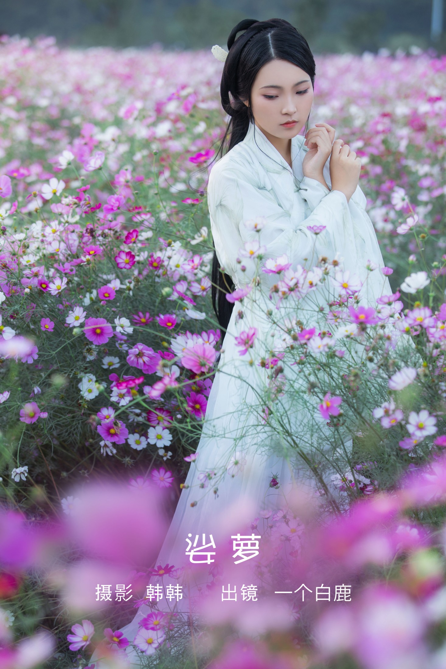娑萝