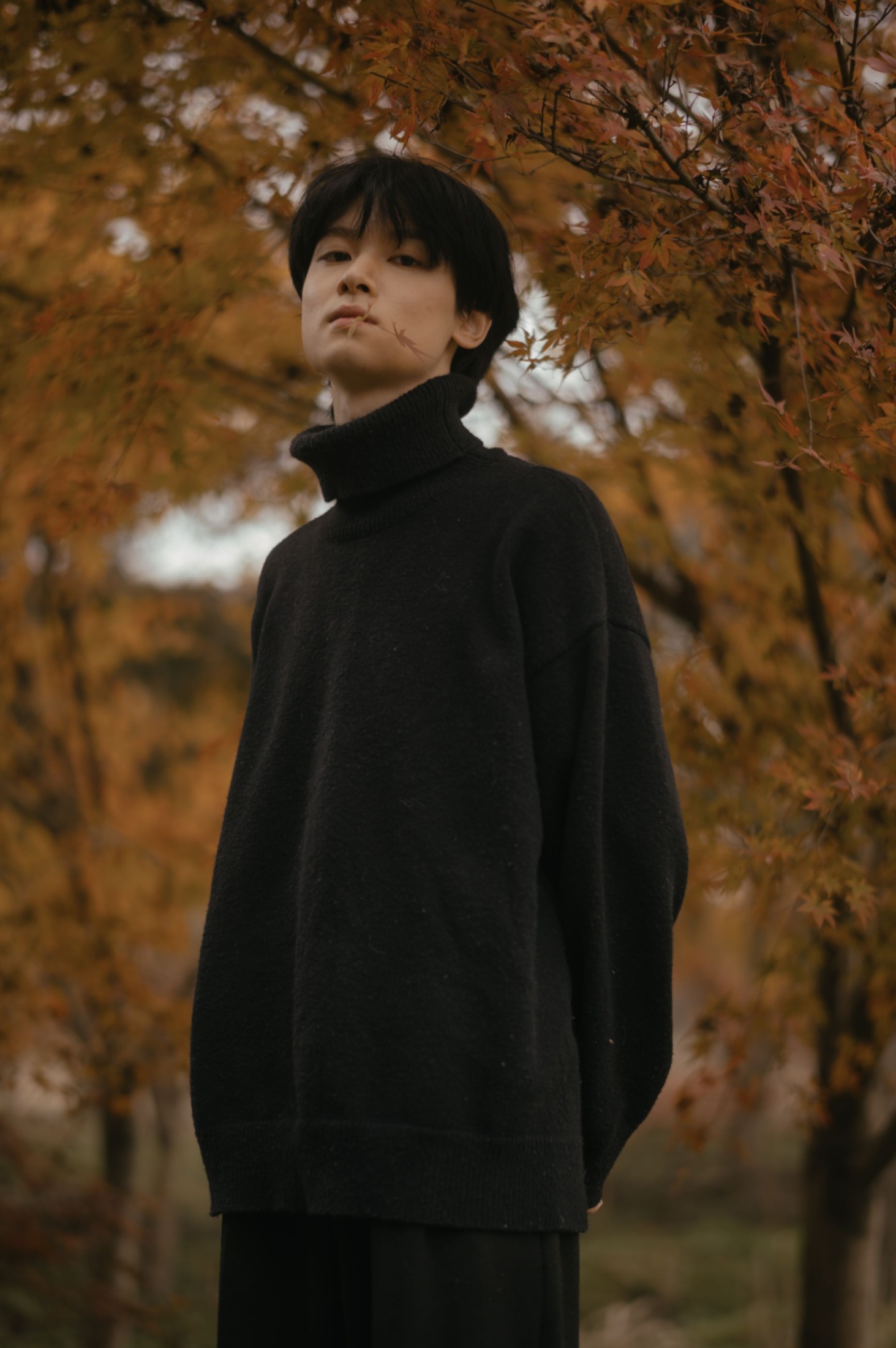 阿末 – 《秋语》[20P]