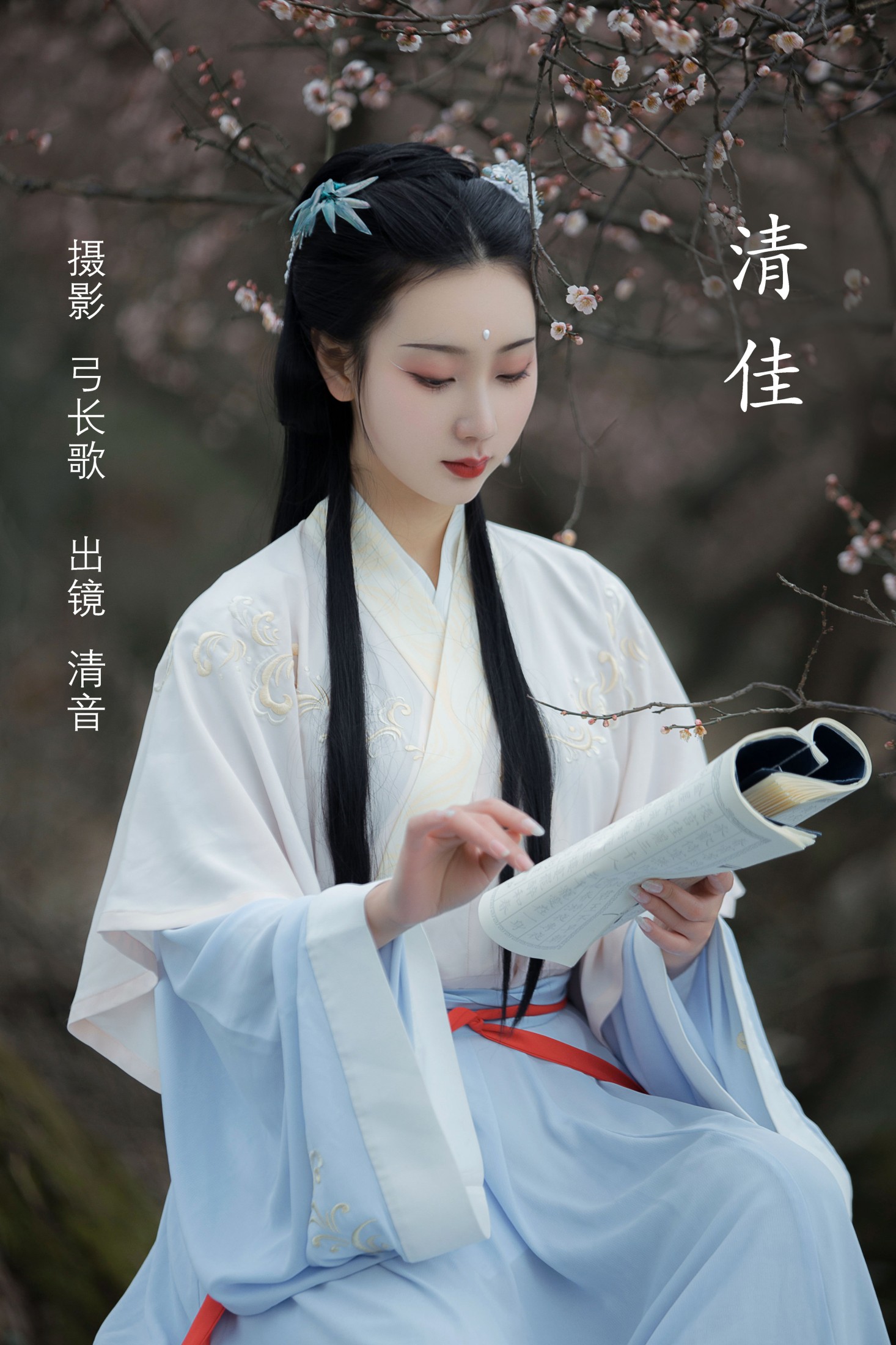 清佳