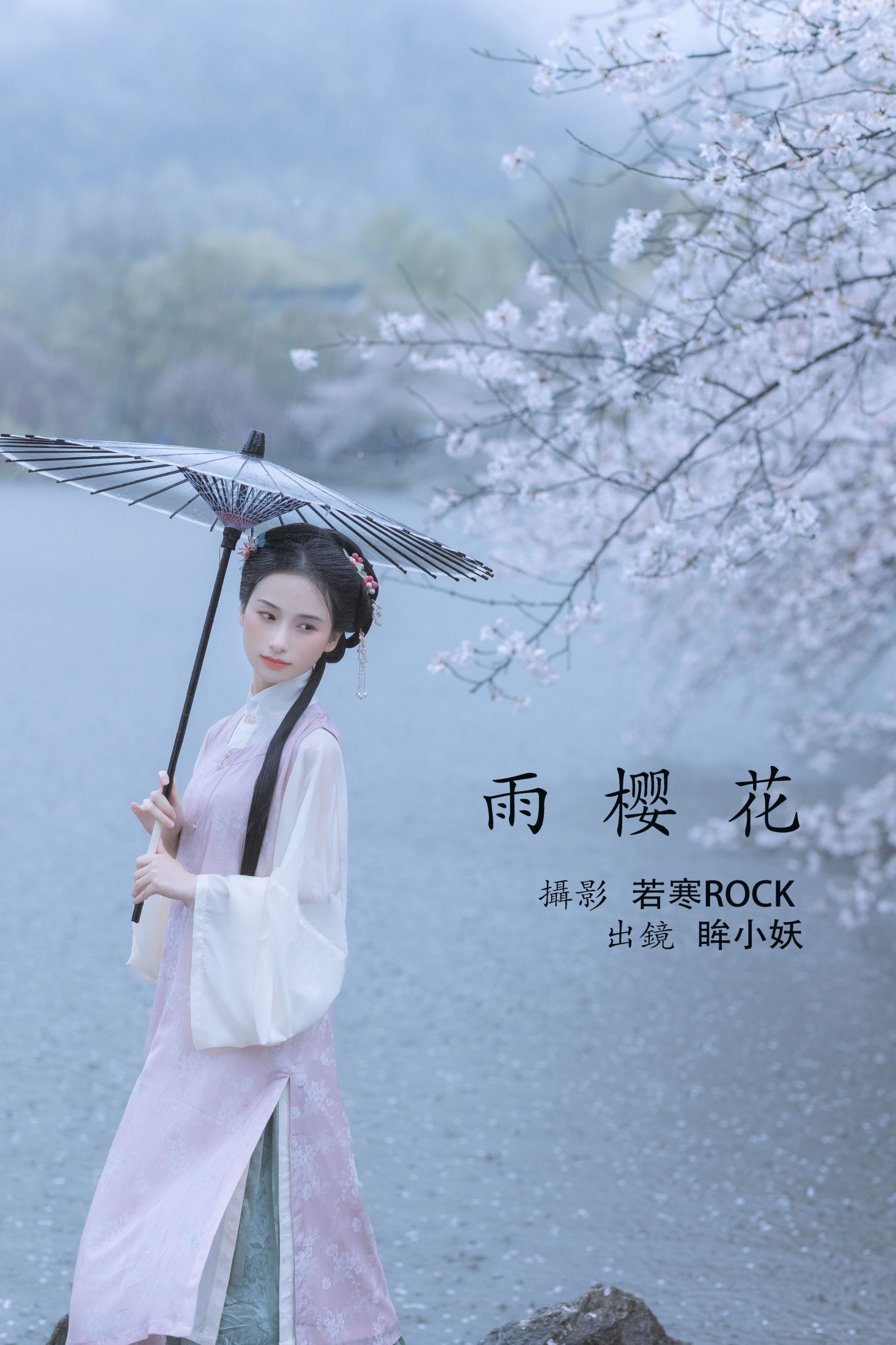 雨樱花