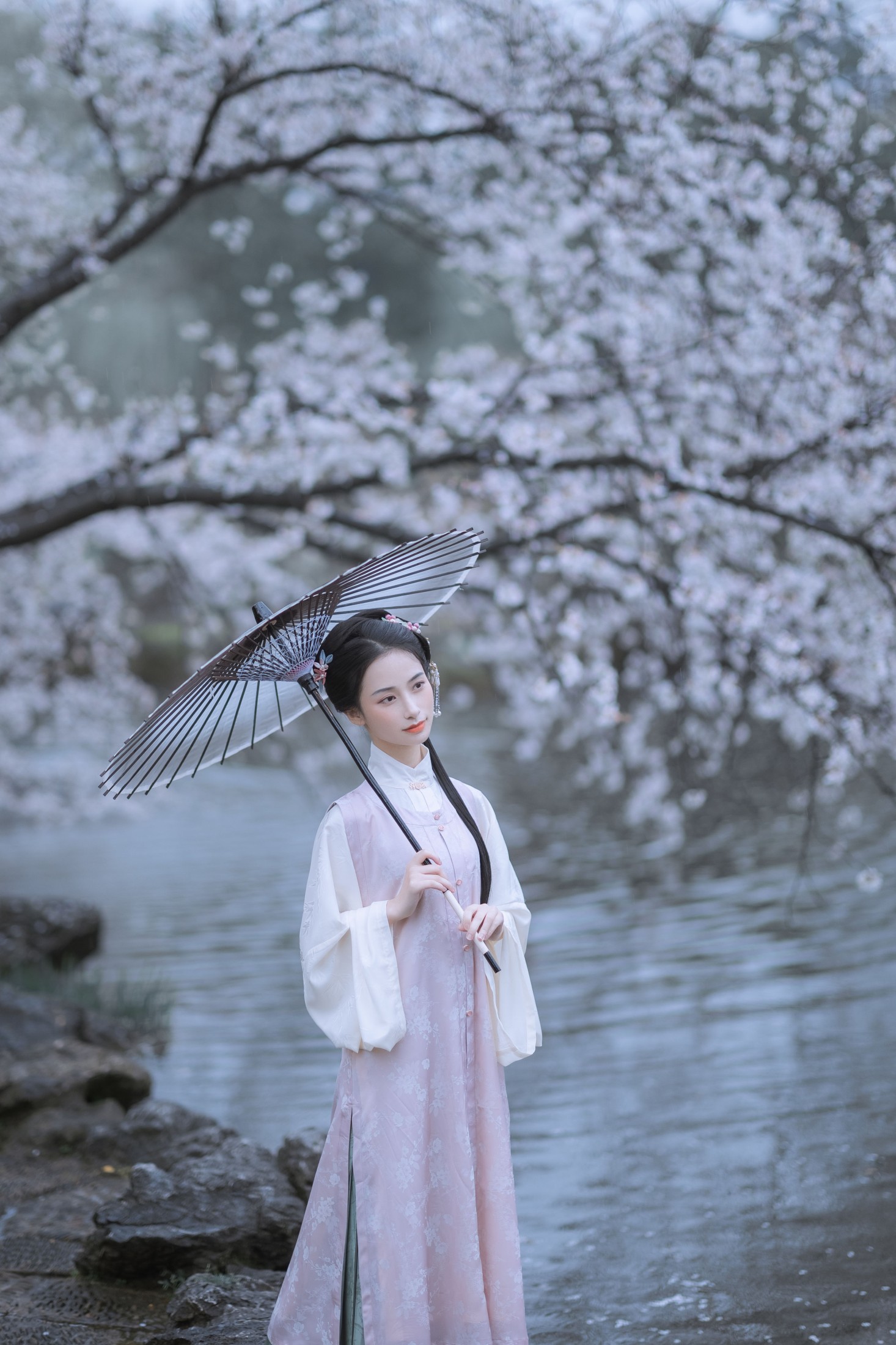 眸小妖 – 《雨樱花》[46P]