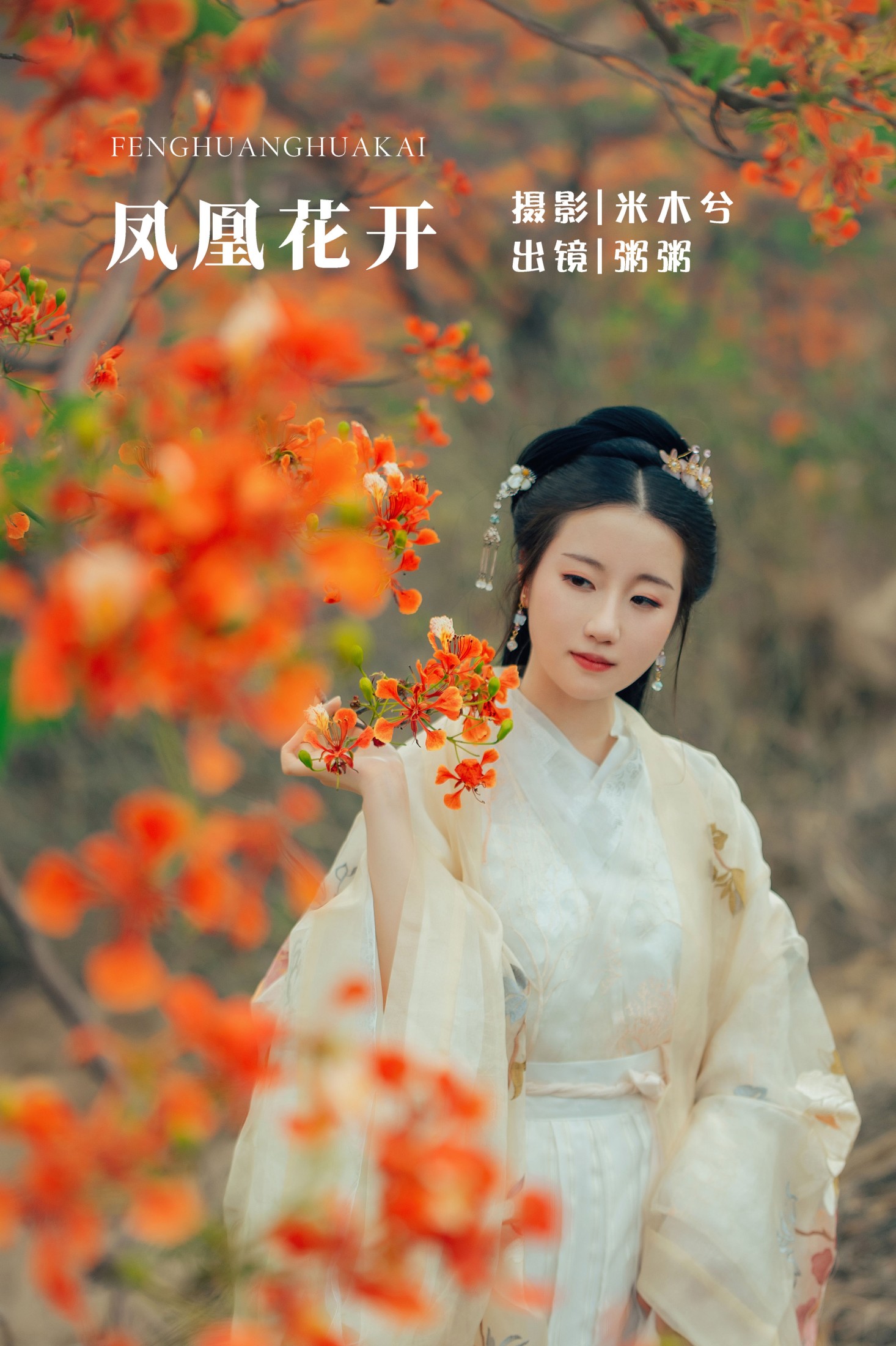 凤凰花开