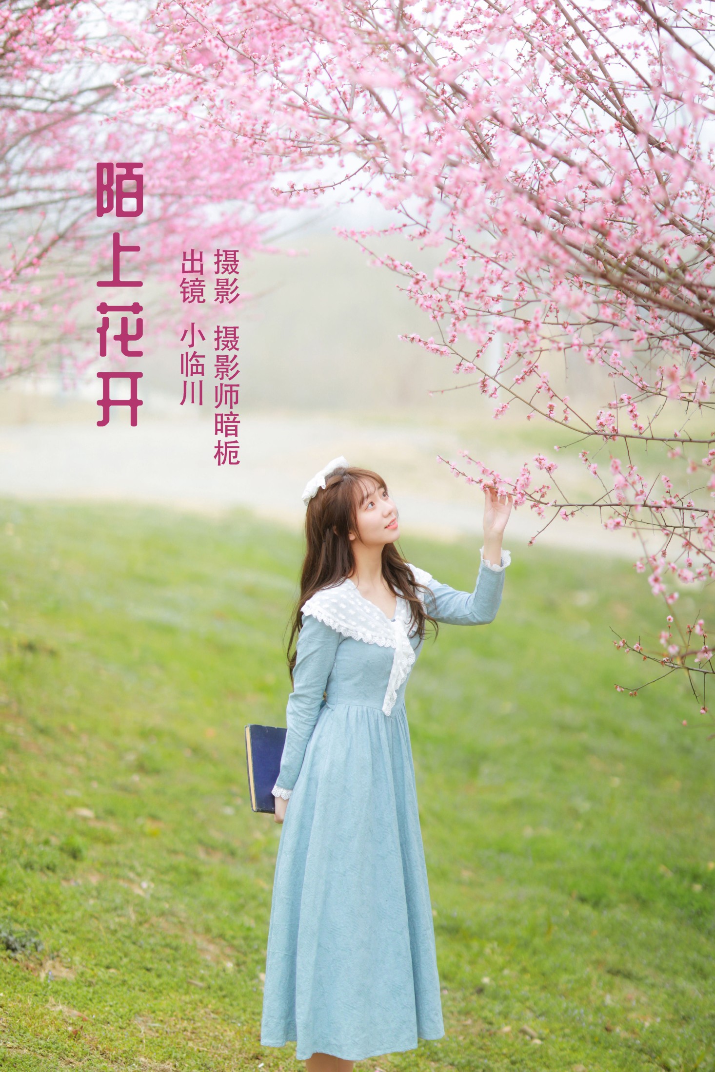 陌上花开
