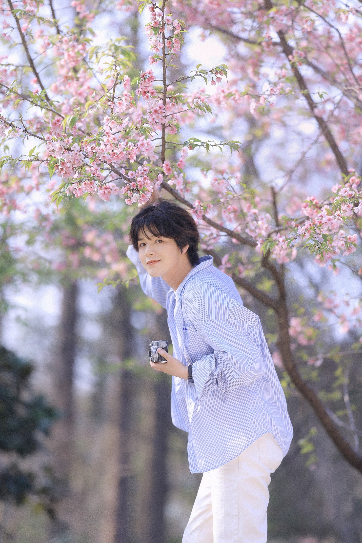 李宇轩Yashon – 《樱花少年》[23P]