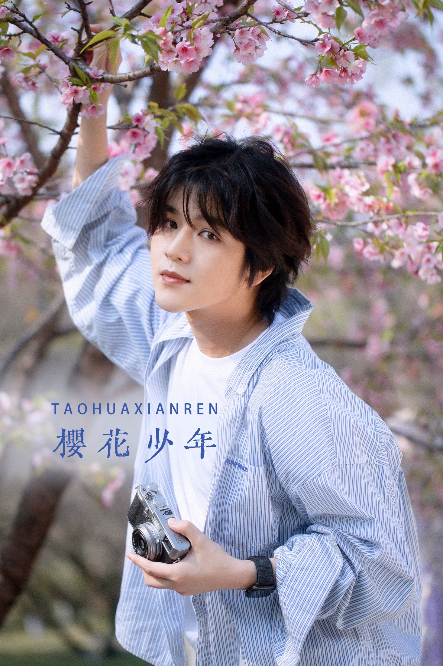 樱花少年