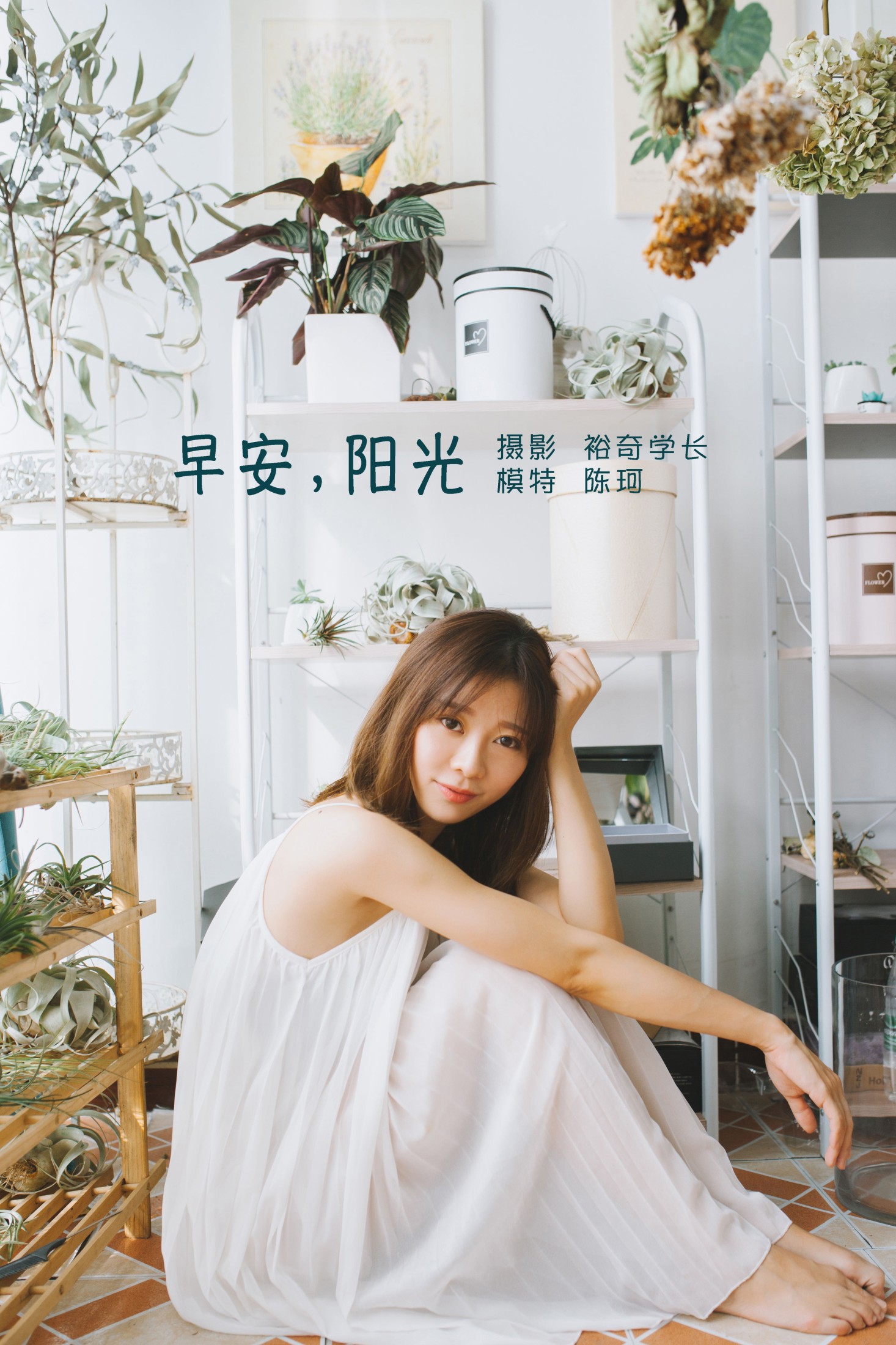 早安,阳光