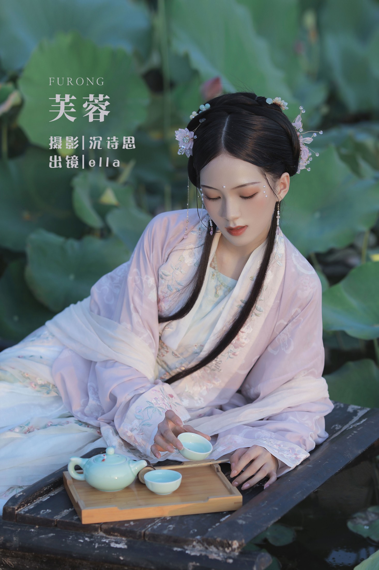 芙蓉