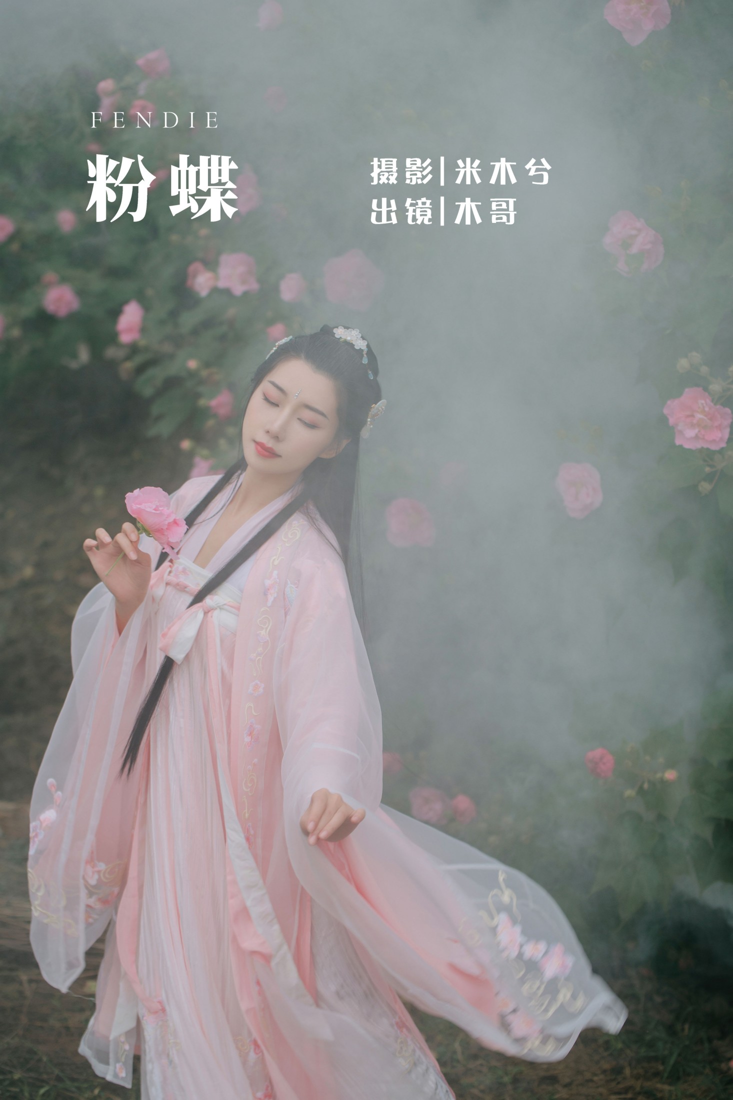 粉蝶
