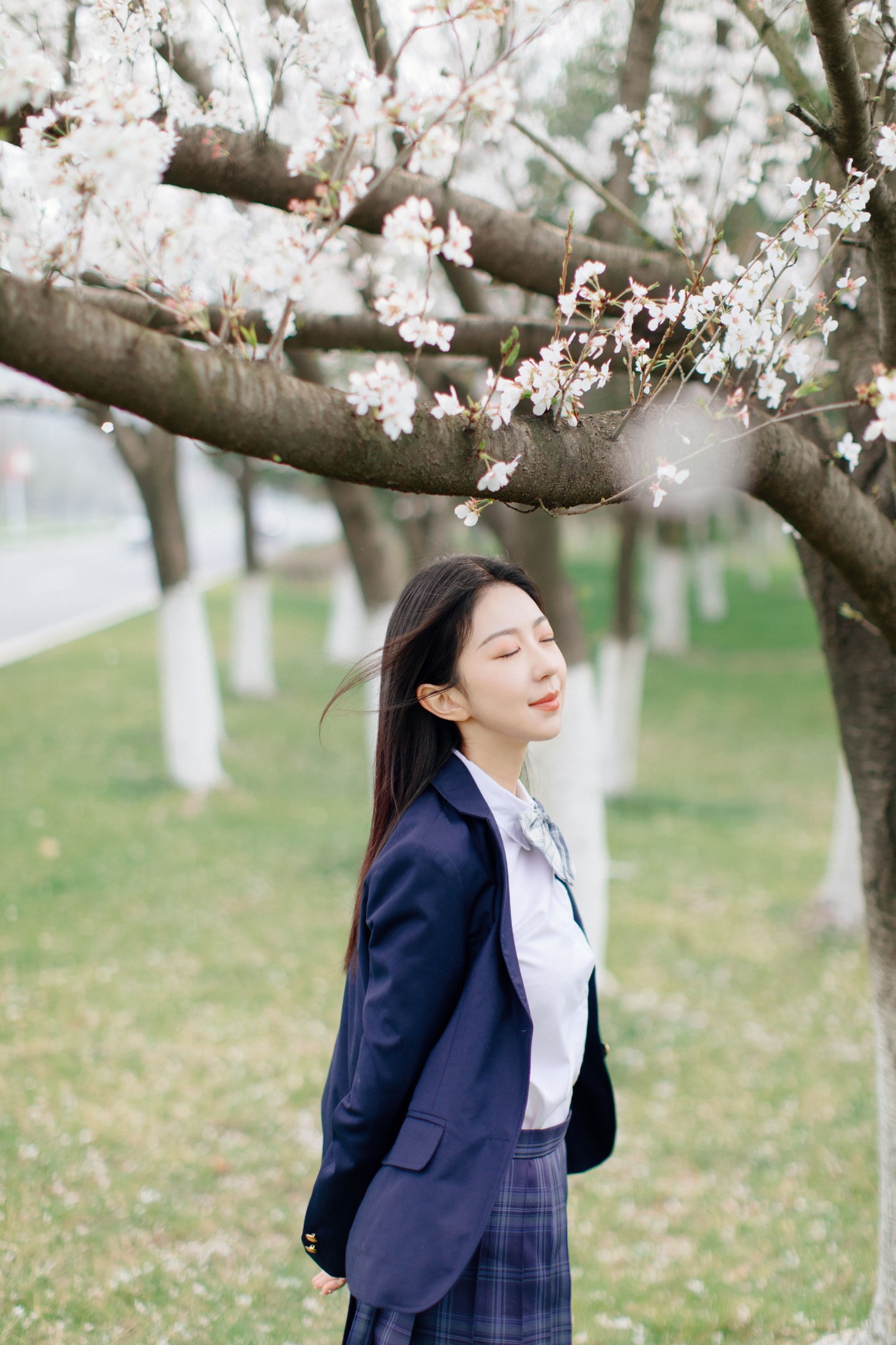 小汤姆 – 《樱花时分》[27P]