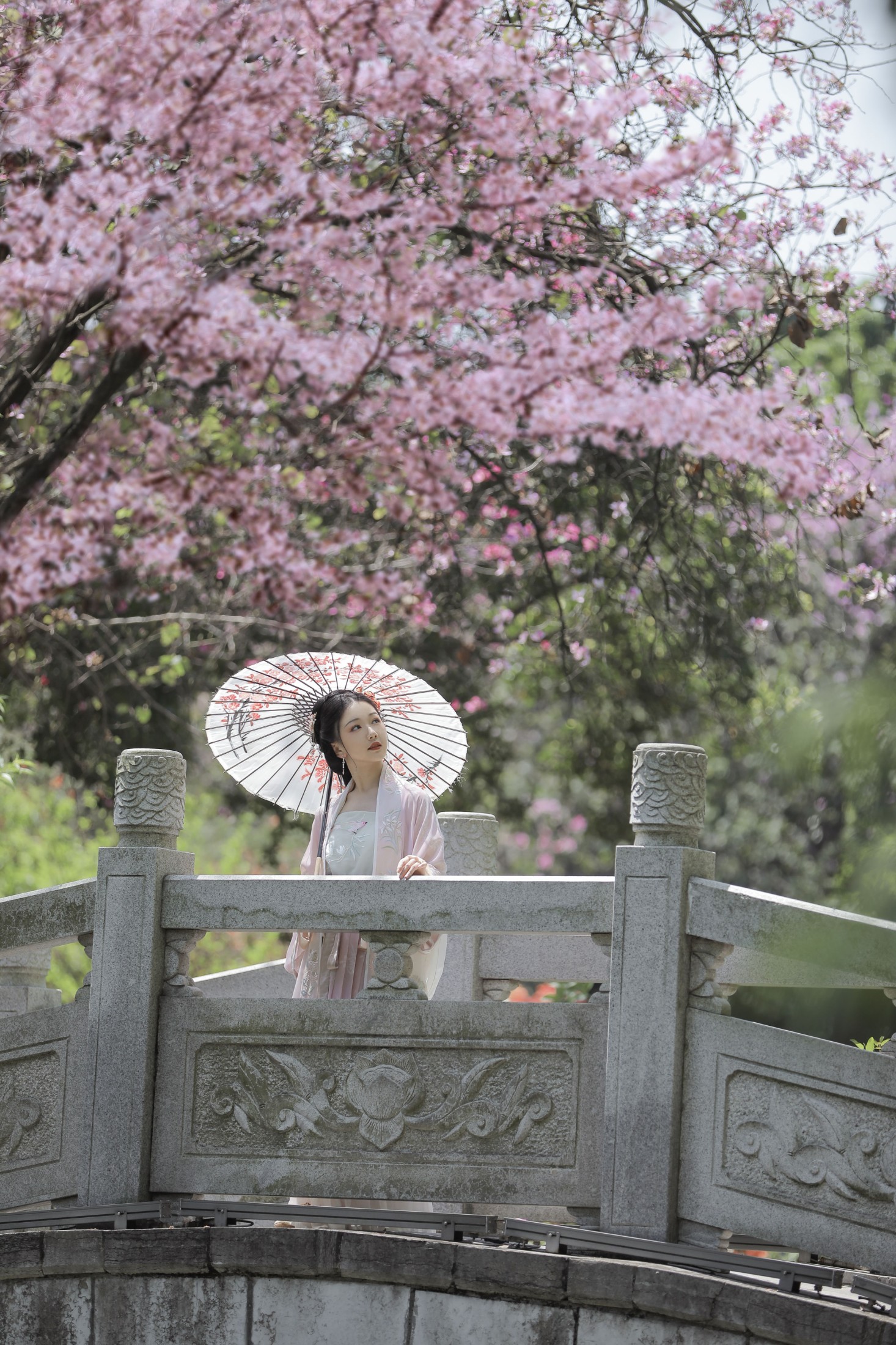 酸辣湯兒 – 《落花风》[27P]
