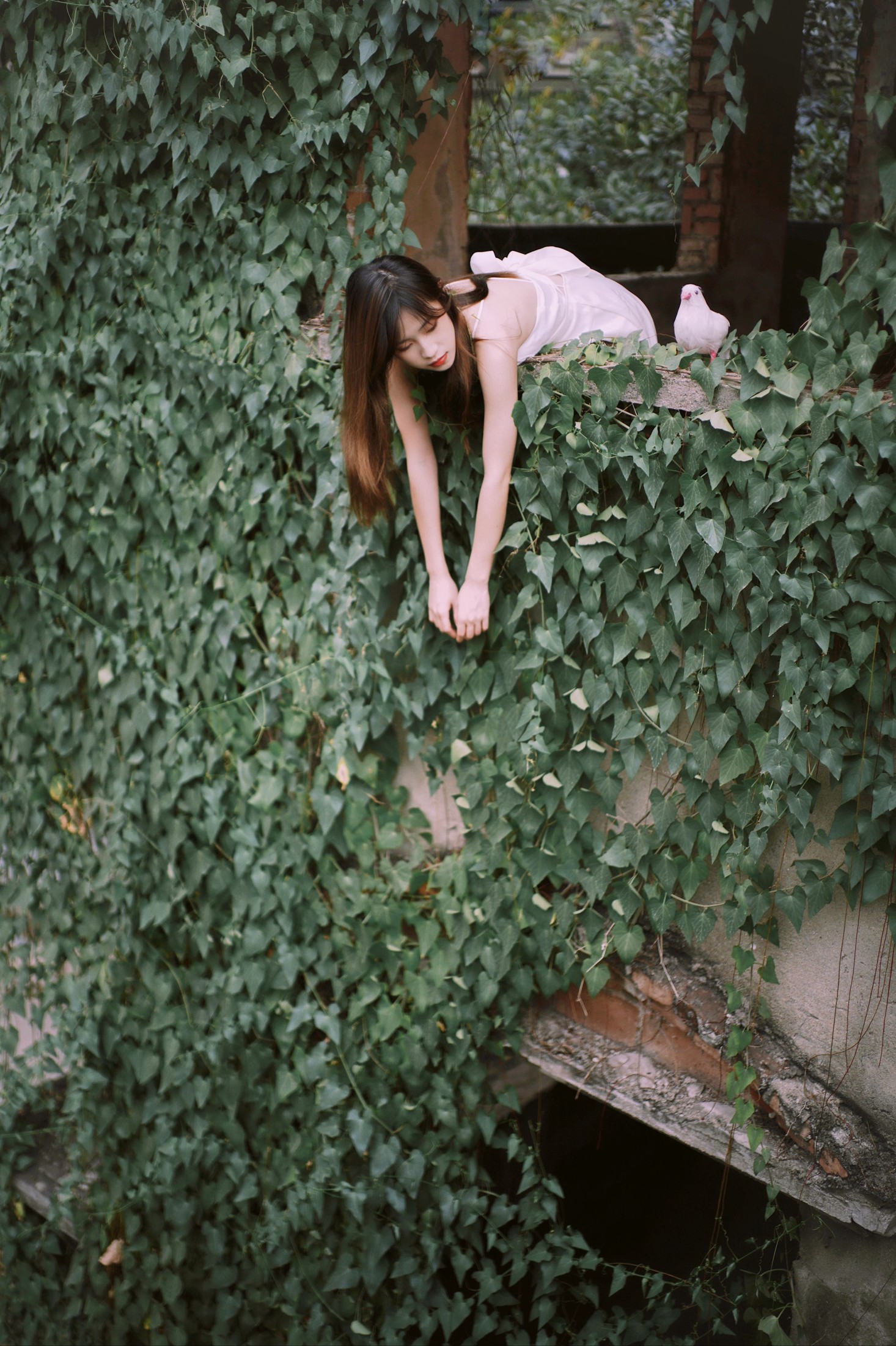 Hanna – 《花寂》[21P]