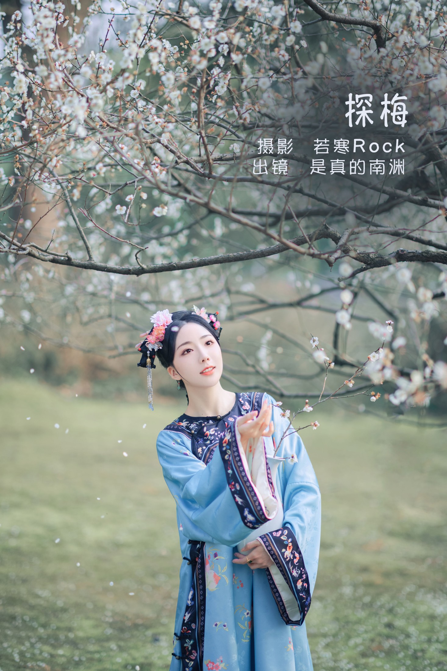 探梅