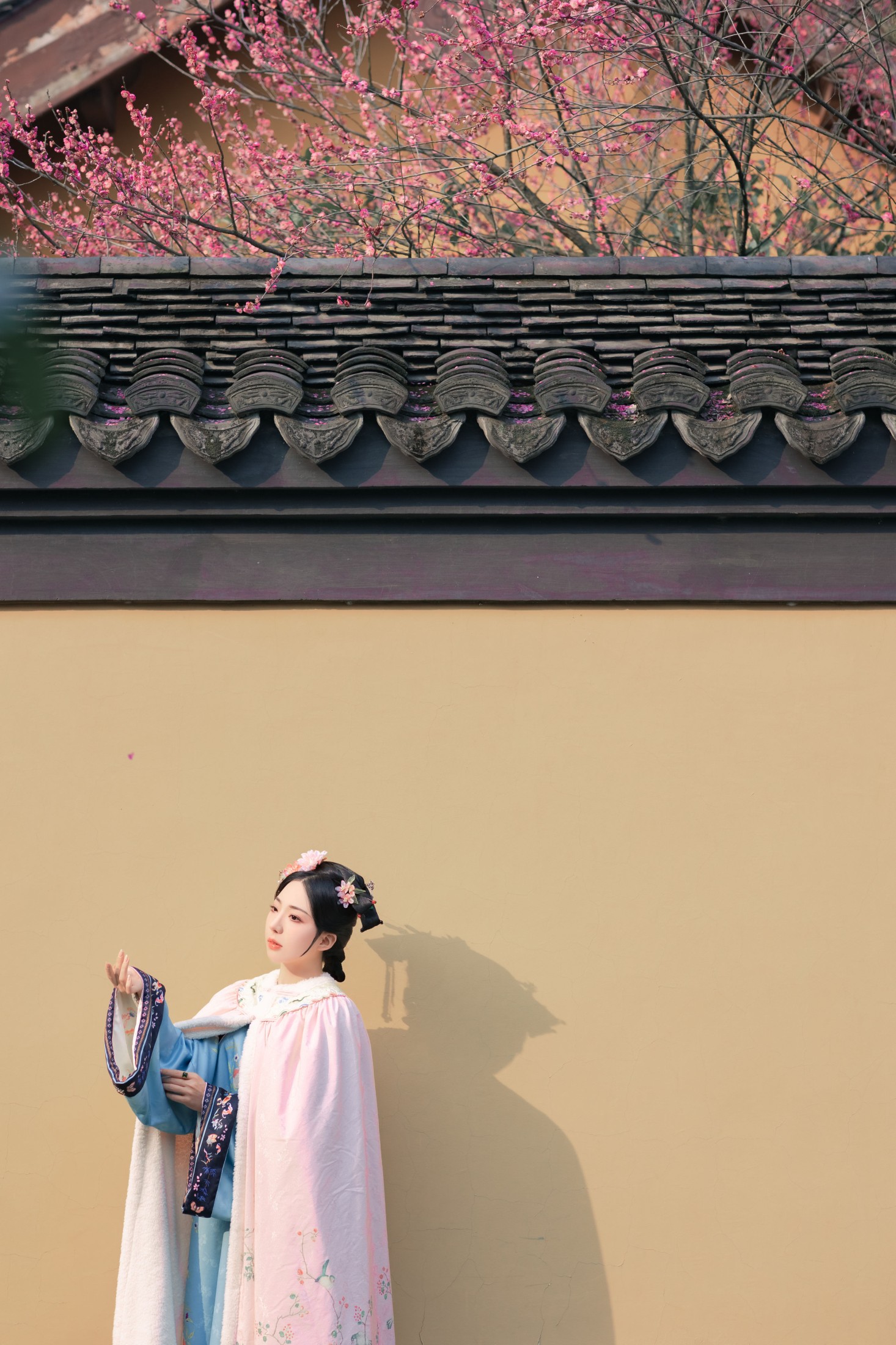 是真的南渊 – 《探梅》[43P]