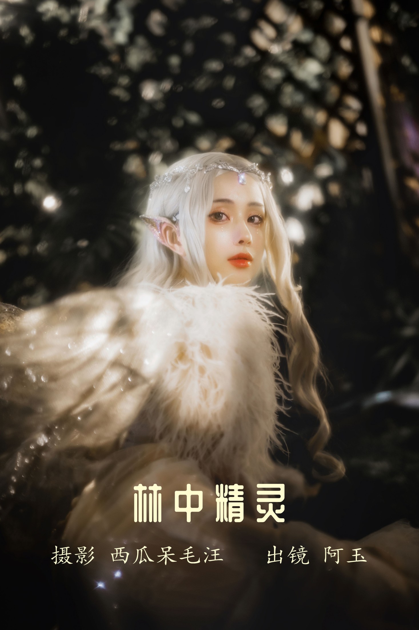 林中精灵