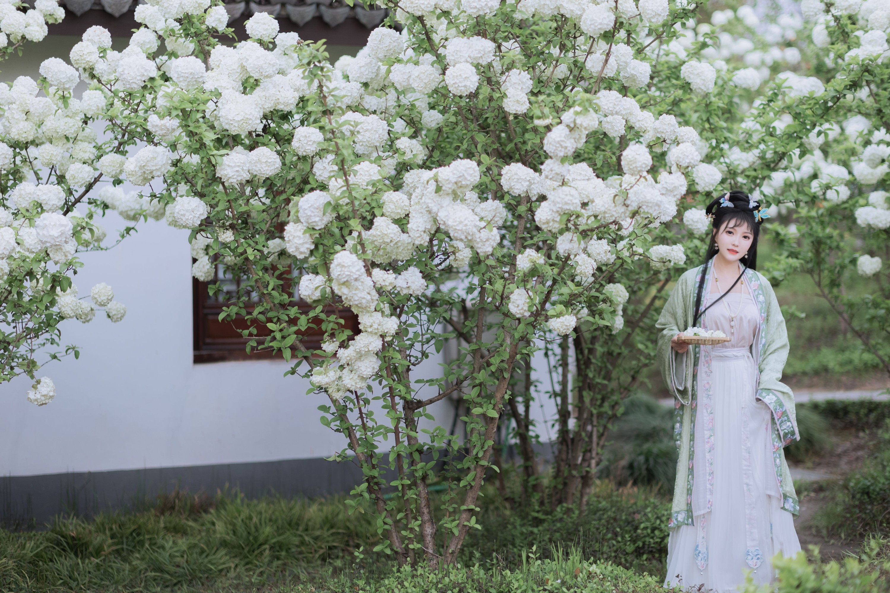 璐璐haley – 《探春》[42P]