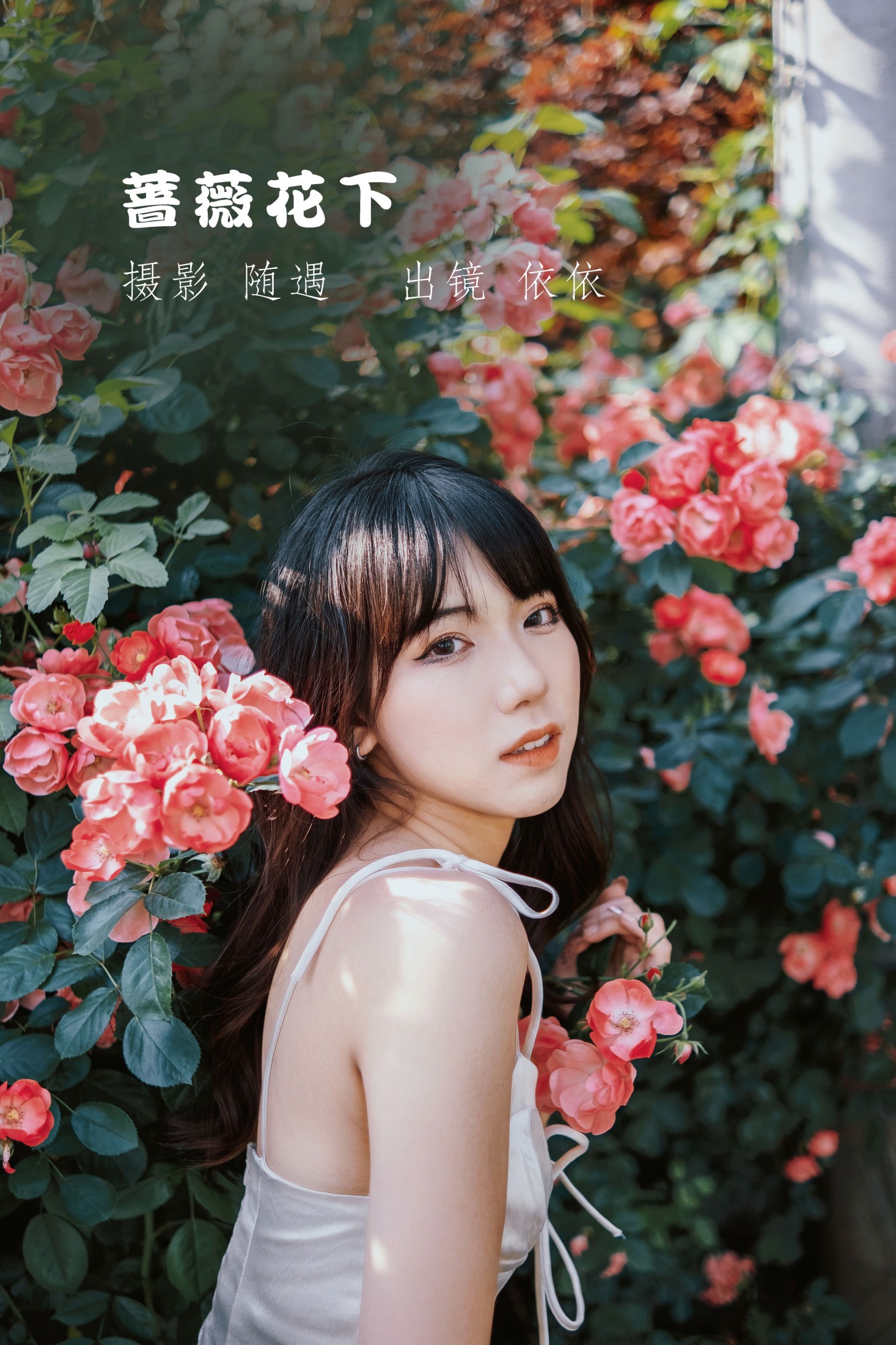 蔷薇花下