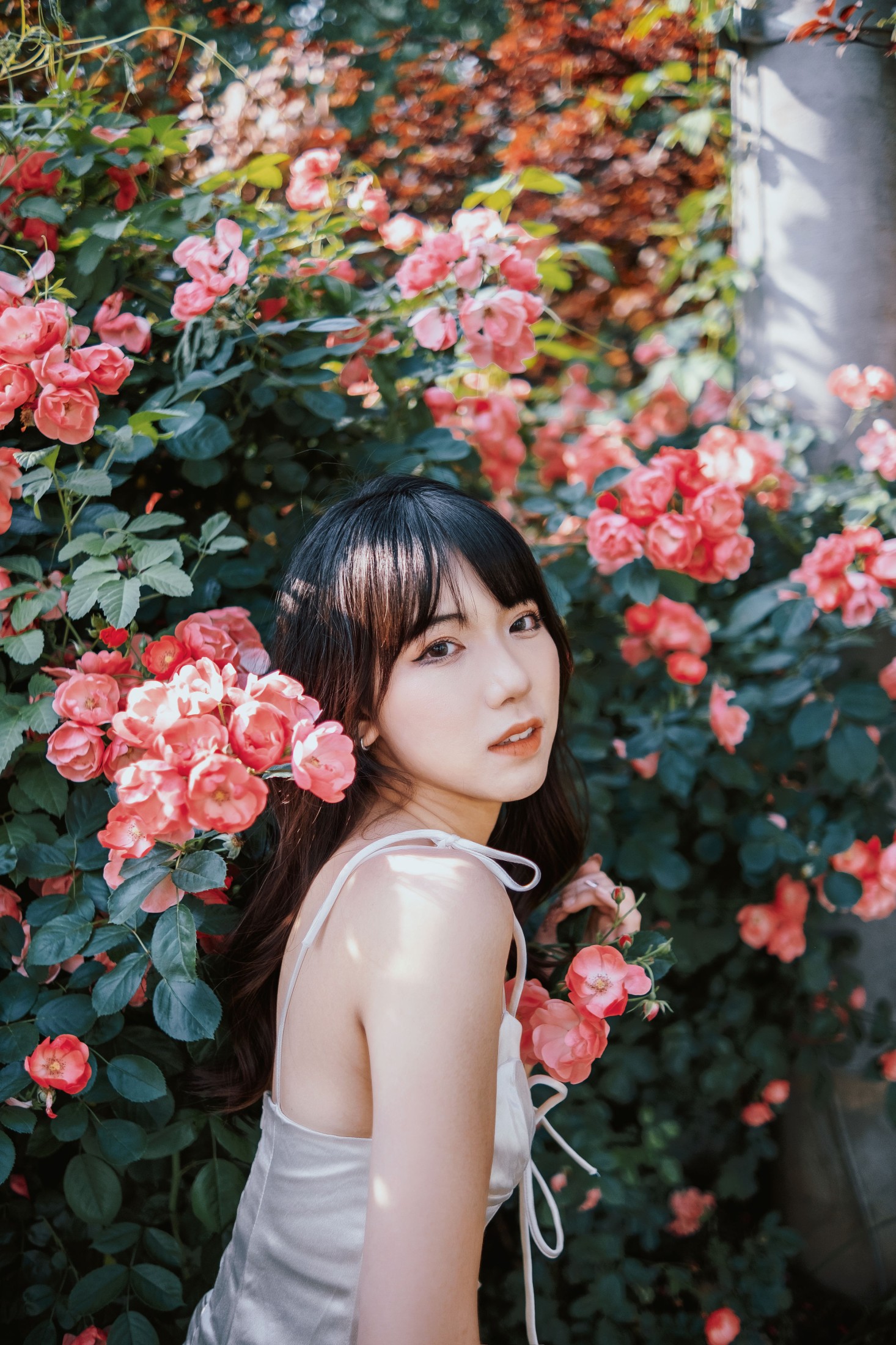 依依 – 《蔷薇花下》[25P]