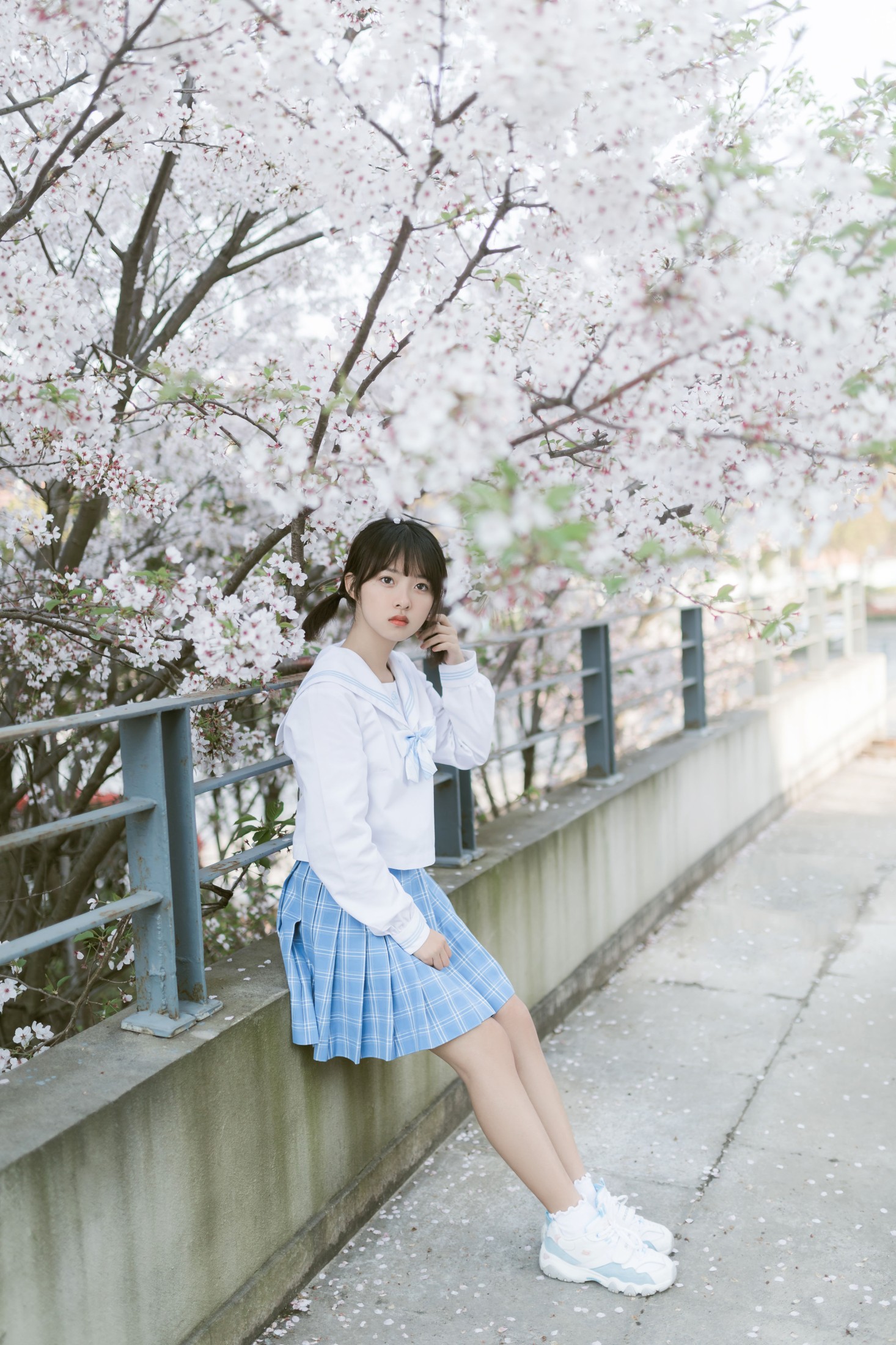 Haruka月岛雯 – 《樱の雪》[24P]