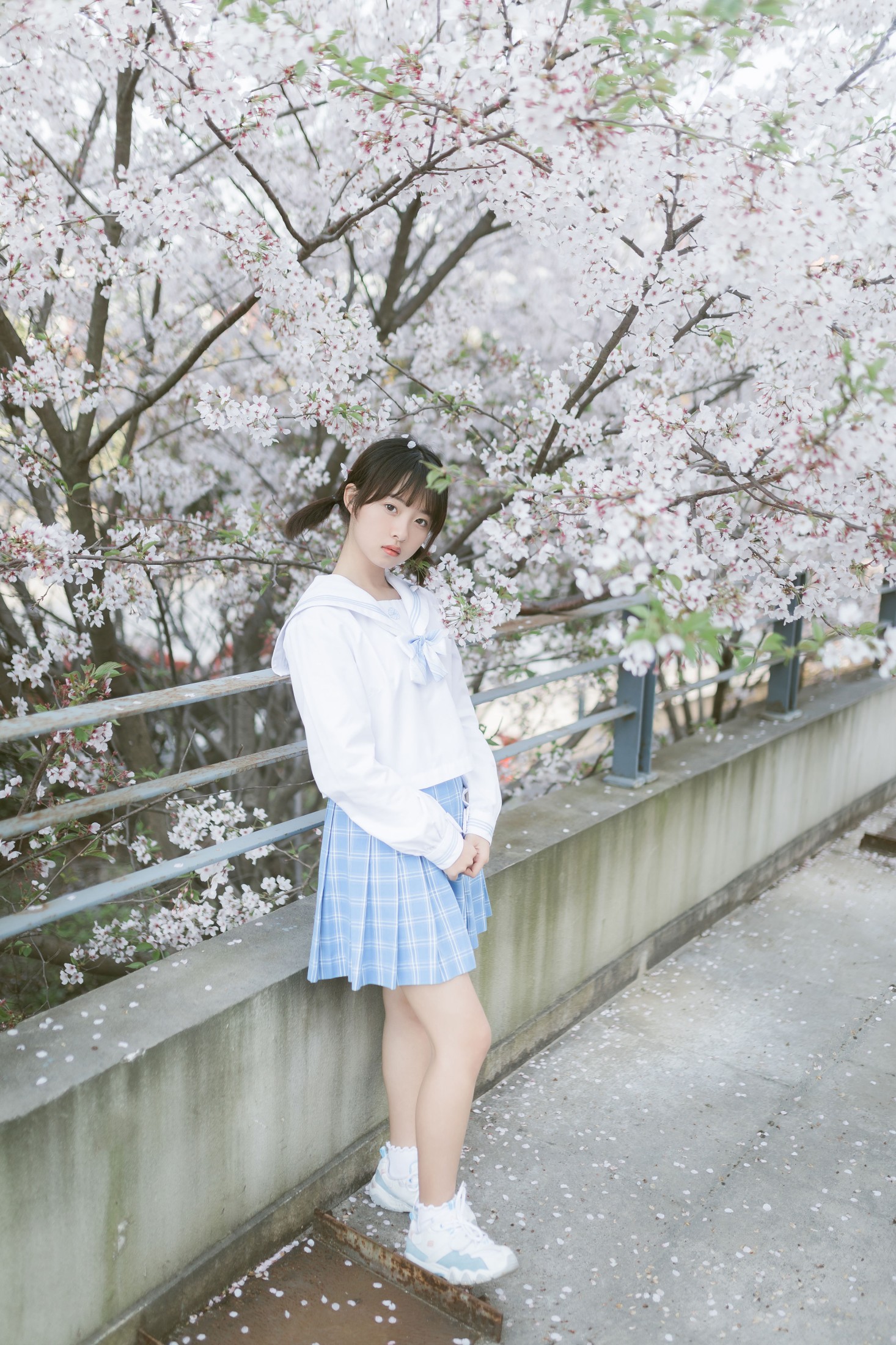 Haruka月岛雯 – 《樱の雪》[24P]