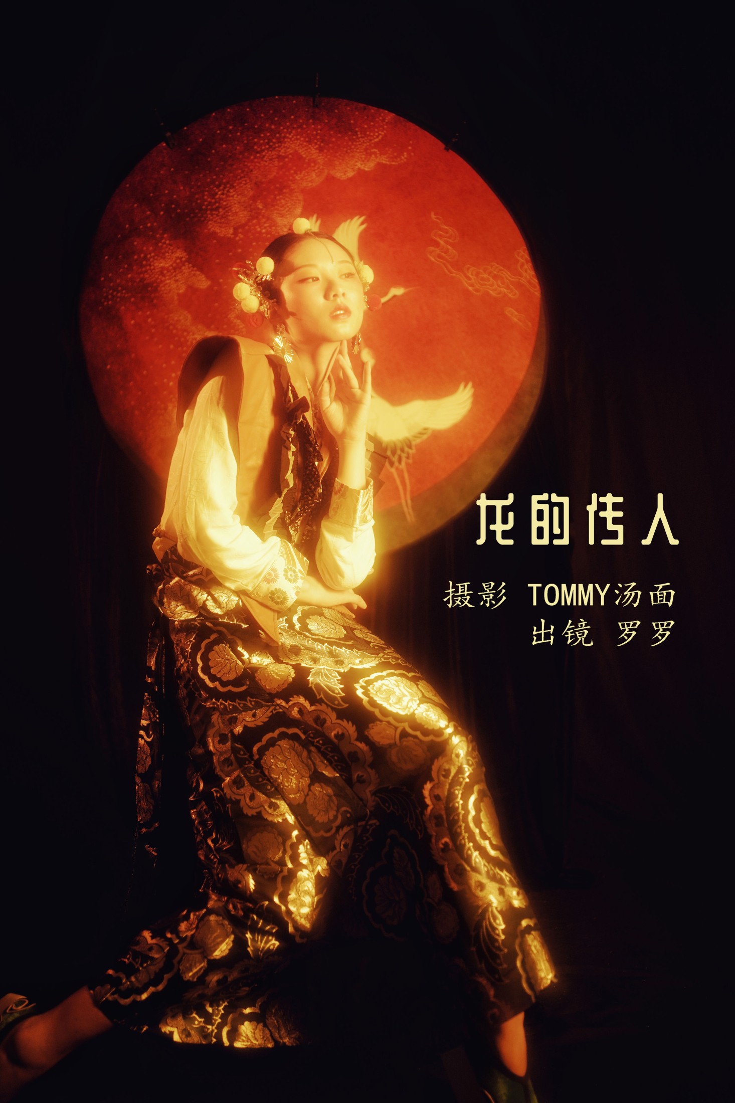 龙的传人