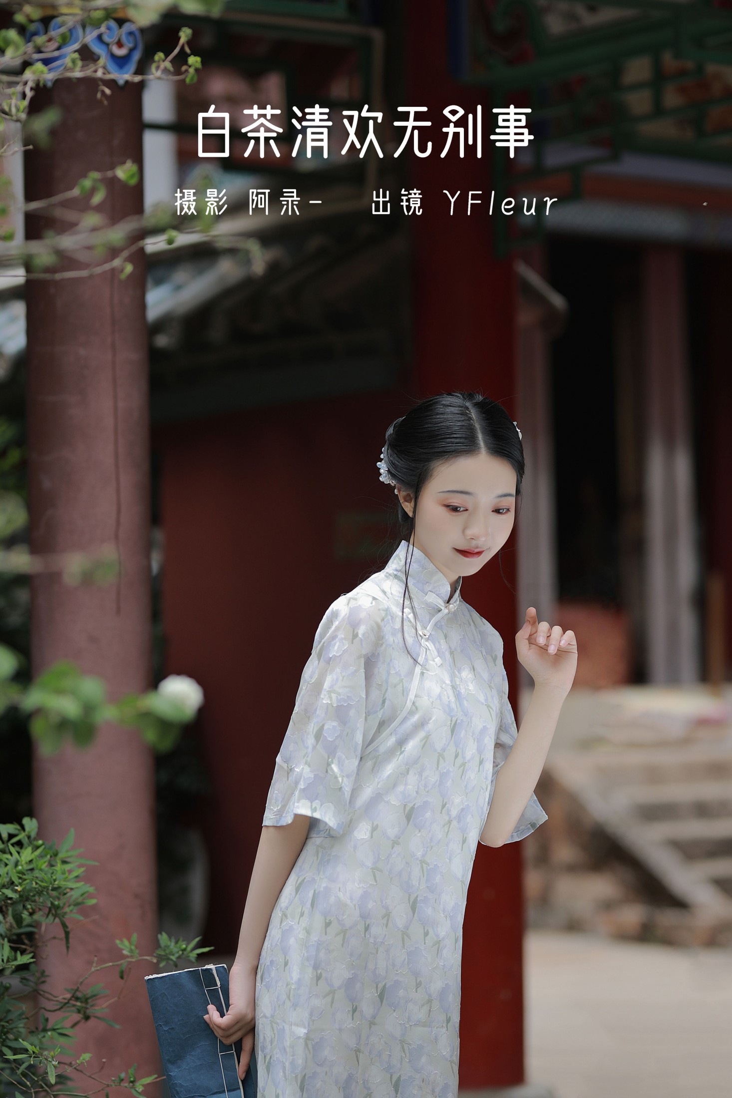 白茶清欢无别事