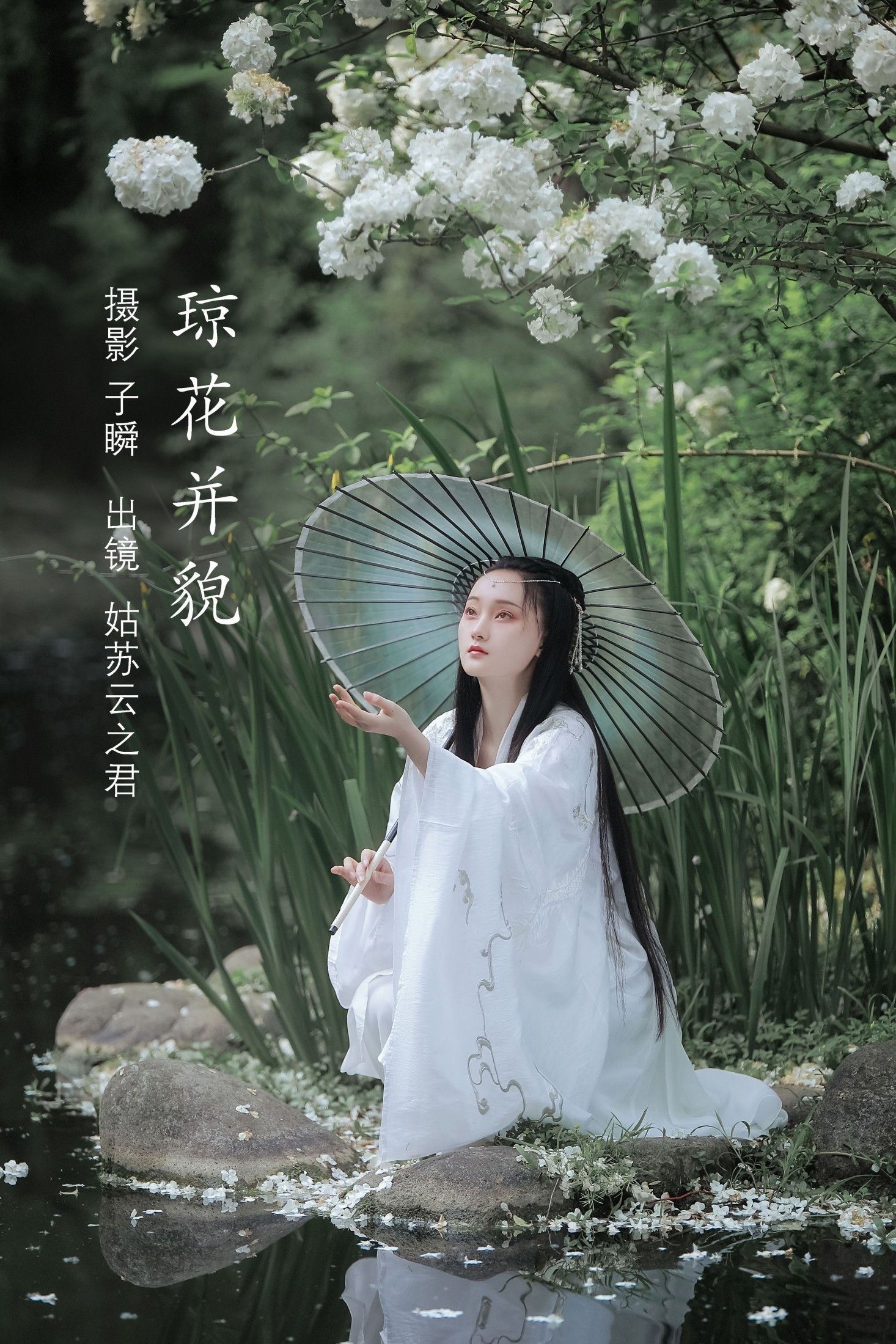 琼花并貌